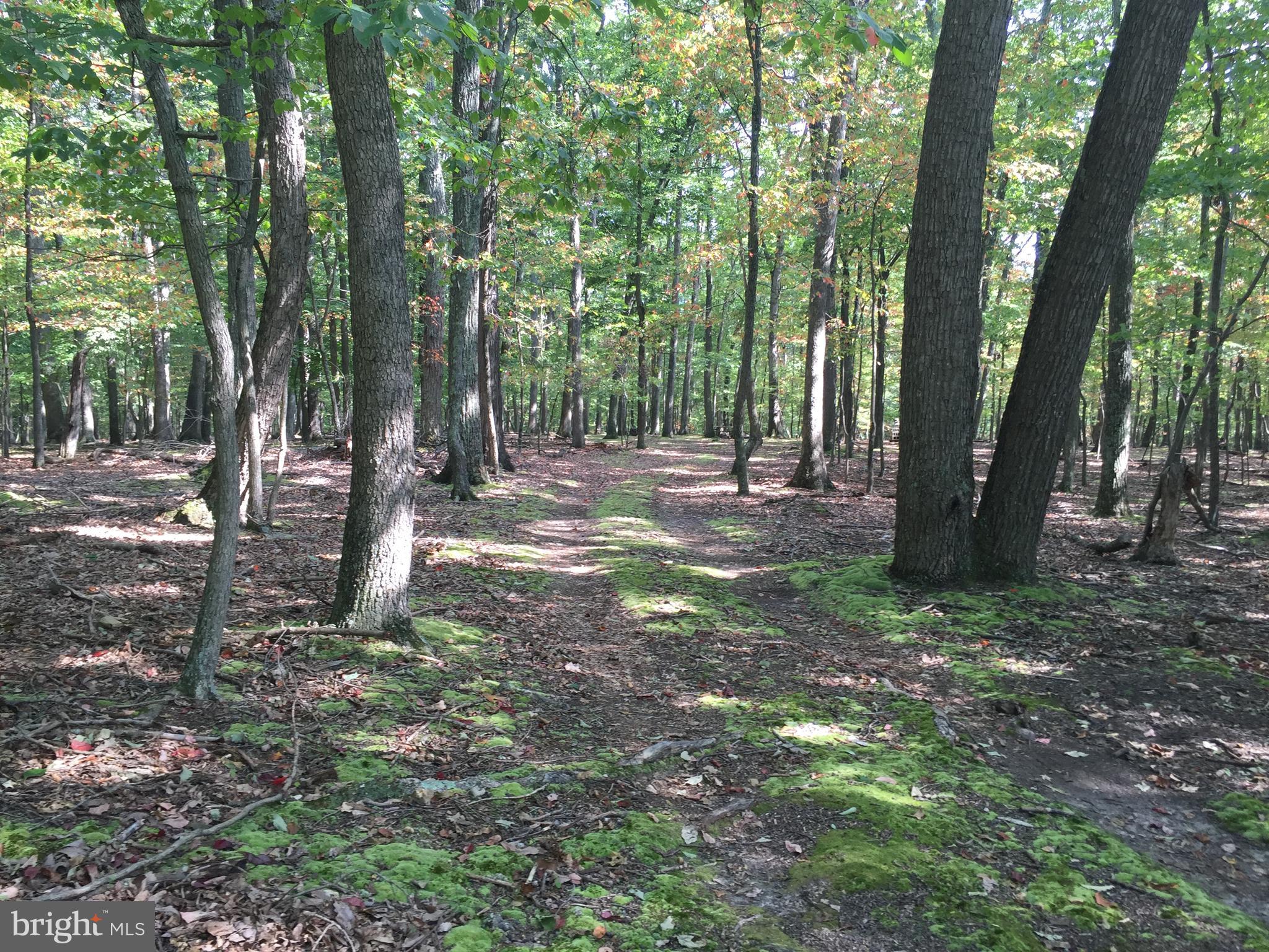 RIVER RIDGE - Land