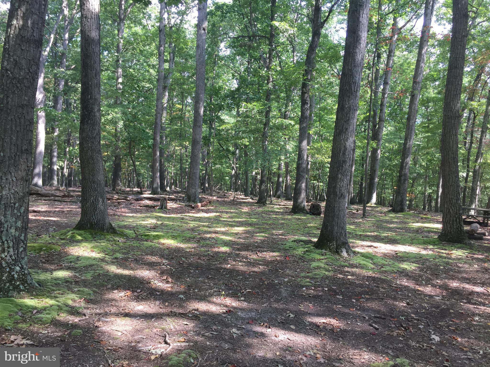 RIVER RIDGE - Land