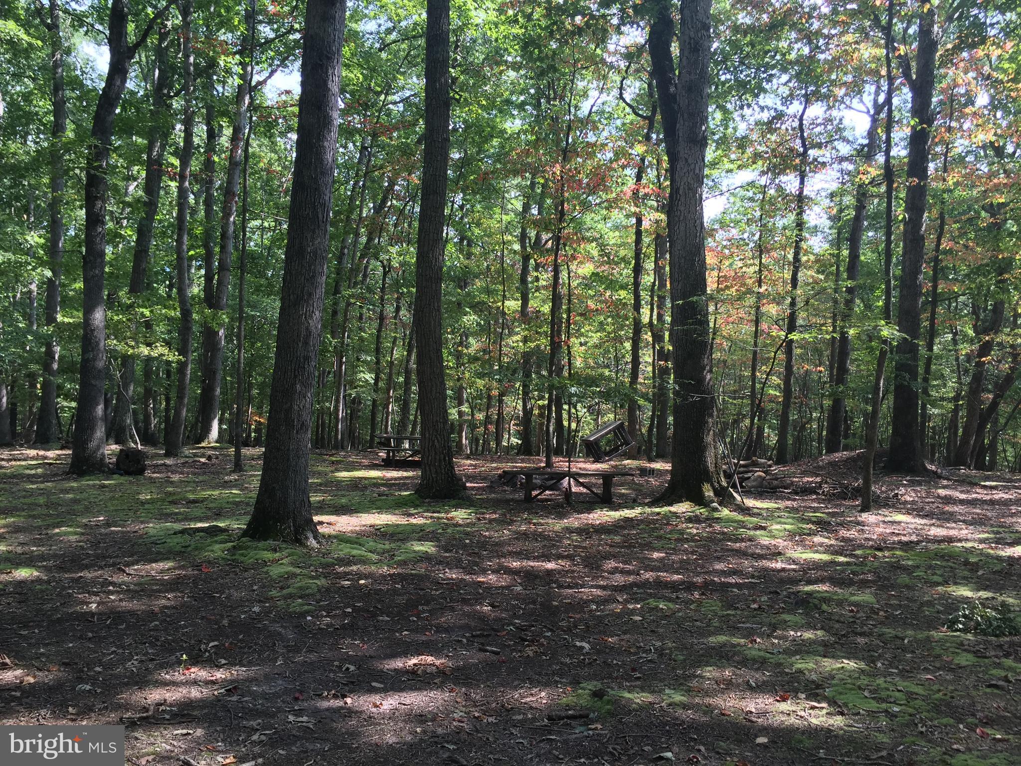 RIVER RIDGE - Land