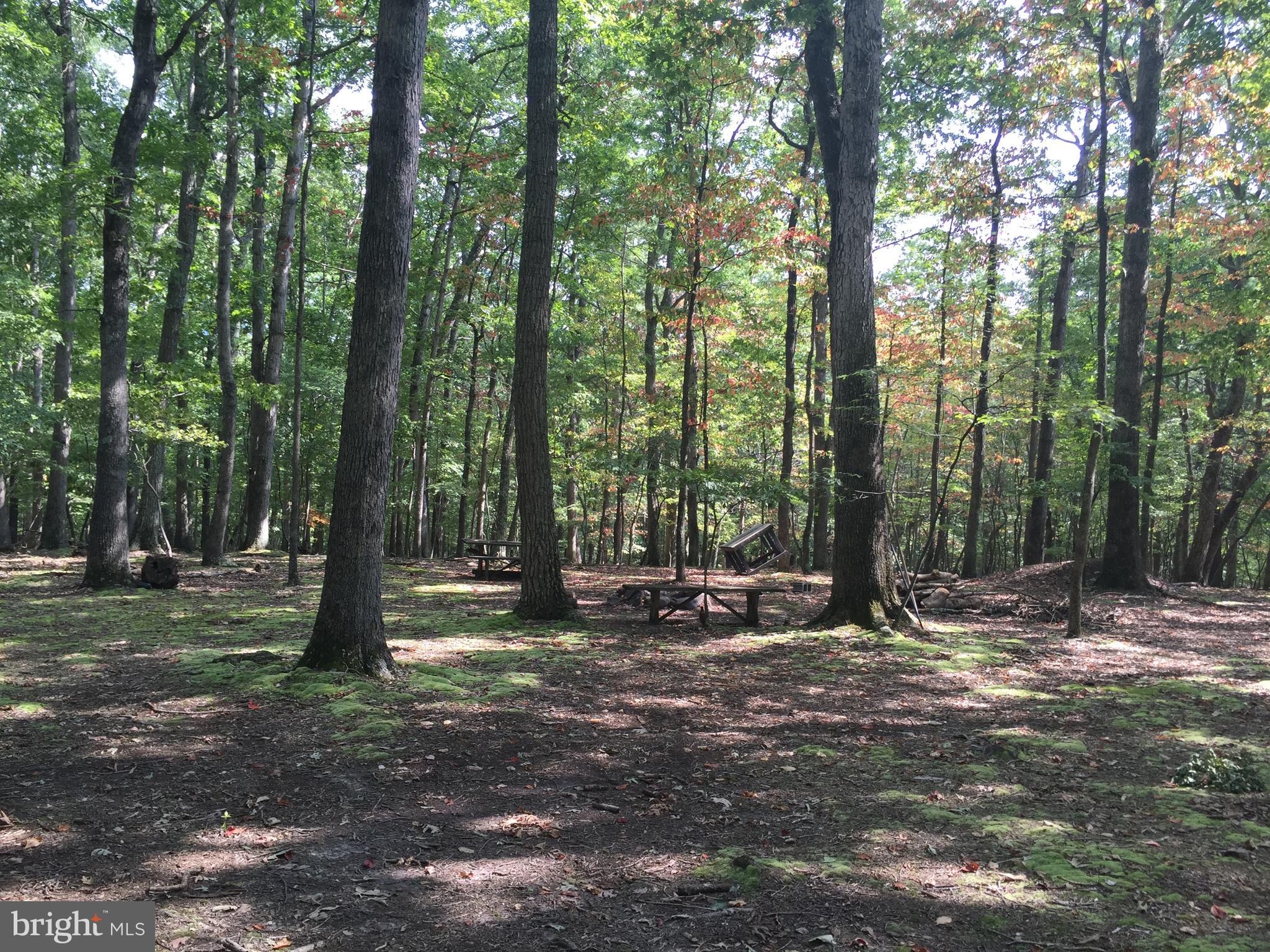 RIVER RIDGE - Land