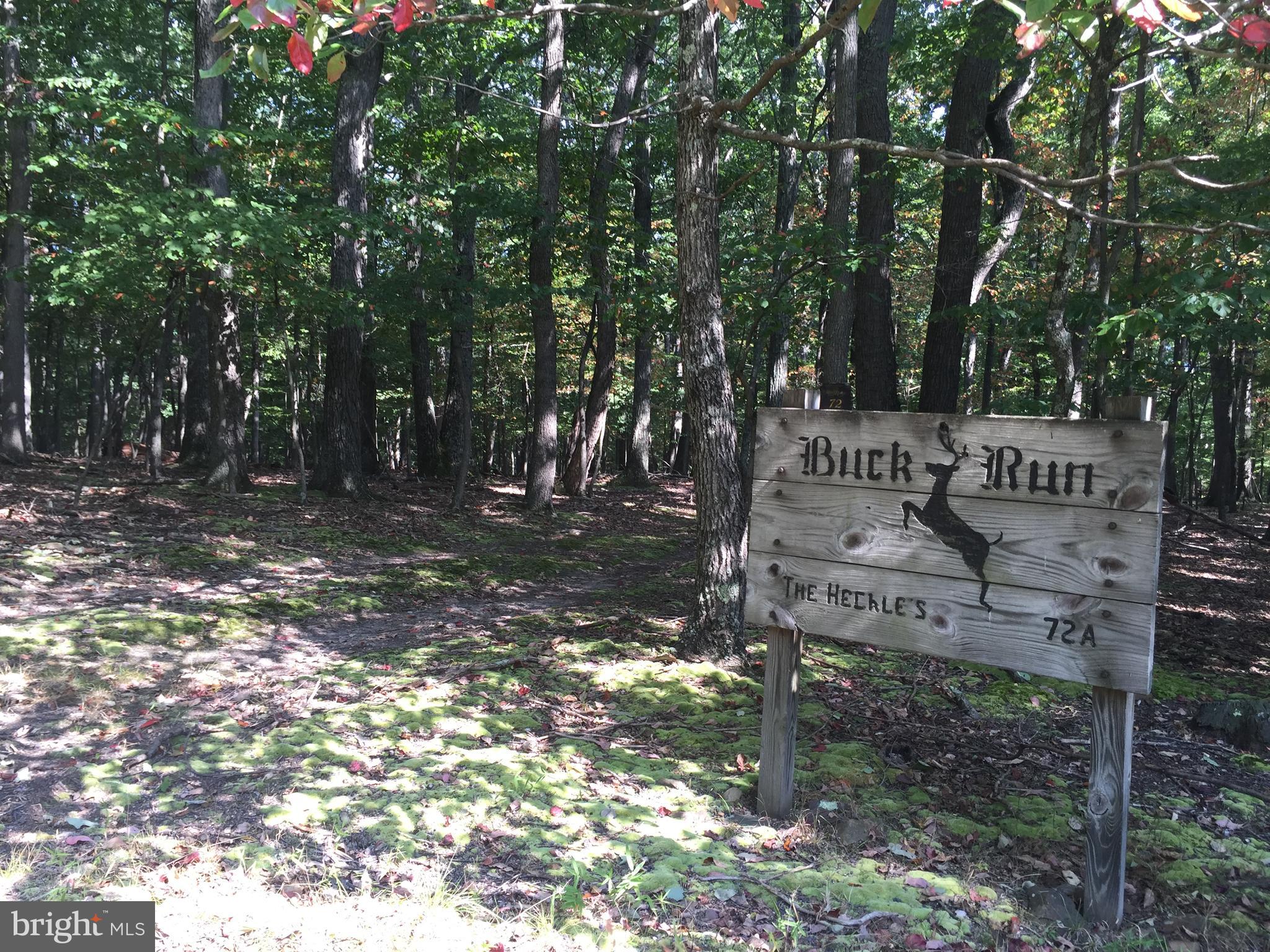 Looking for a beautiful lot with river access yet out of the flood plain. This is the lot and also located in a gated community. This 6.58-acre lot is very nice, has an existing entrance, approved perc and well maintained. This lot is high up on the mountain with lots of trees and a mountain stream running through the property. There is a park-like area as you enter the front gate to the community along the Cacapon River for canoes, tubing, and swimming. Lots of areas for relaxing and enjoying the community. List price now less than assessed value.