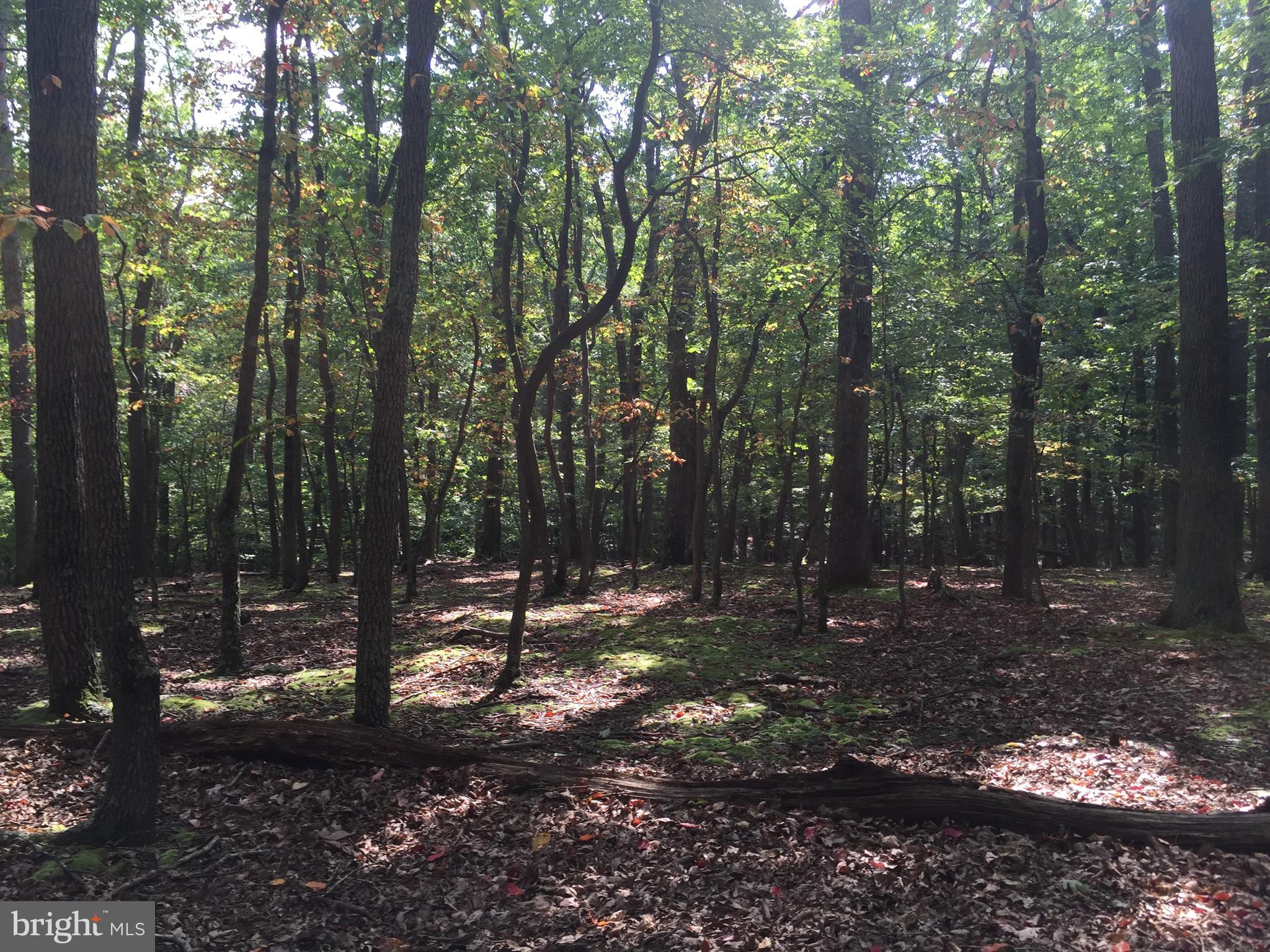 RIVER RIDGE - Land