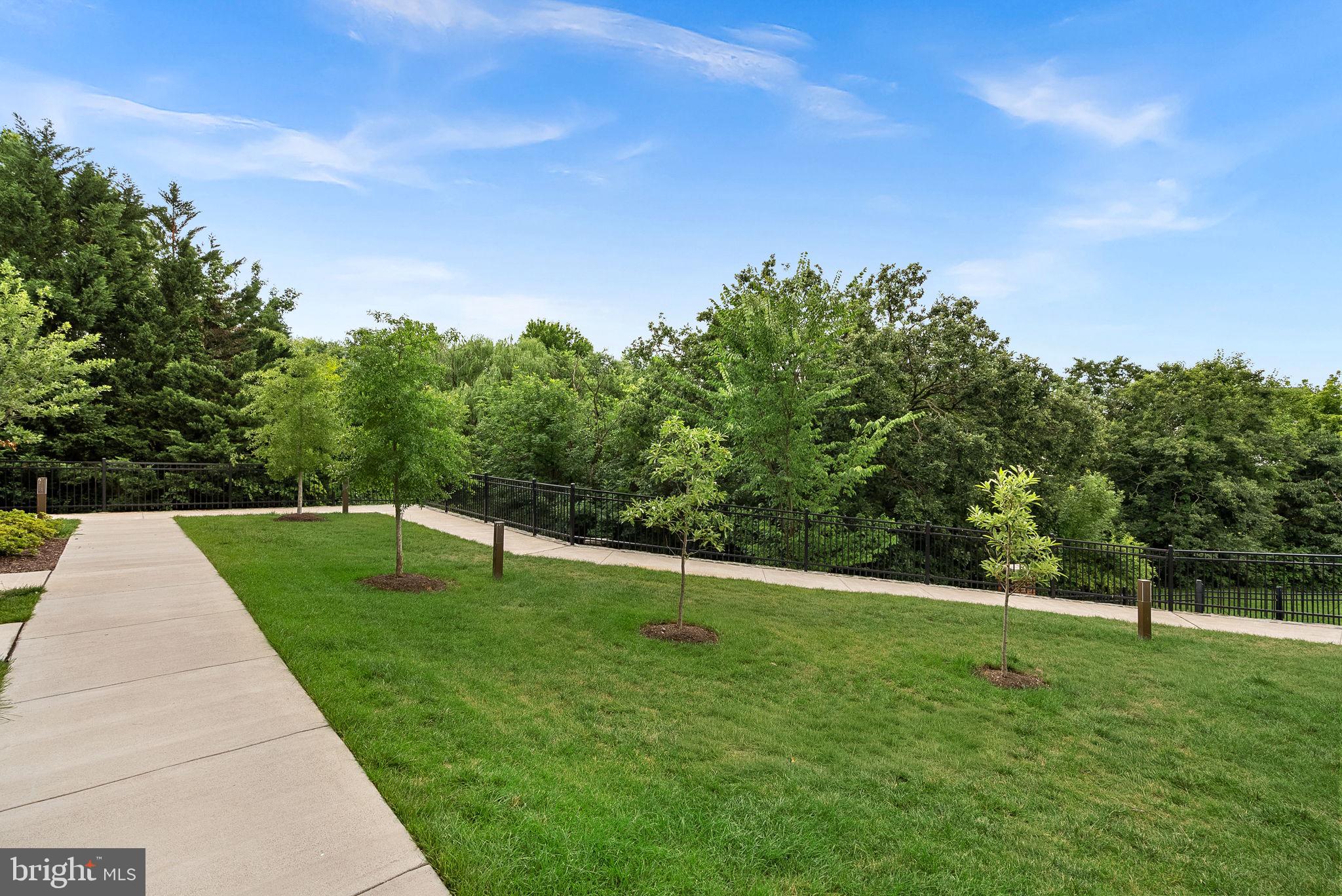 POTOMAC STATION MARKETPLACE - Residential