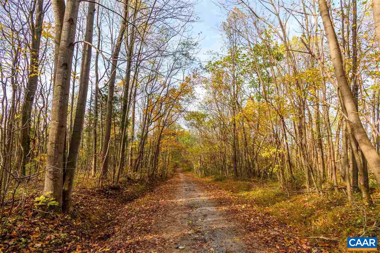 This 84.81 acre WOODED parcel, located within ALBEMARLE COUNTY and ALBEMARLE HIGH SCHOOL DISTRICT, is loaded with ample wildlife (deer, bear, turkey, bobcat, raccoon, etc.) and building opportunities! Enjoy the panoramic BLUE RIDGE MOUNTAIN VIEWS, preserved beauty, and ultimate privacy! Establish a homestead, hunting cabin, or operational farm - the options are endless! Conservation easement exists.,Parcel ID: 03600-00-00-01800, Lot: 01800