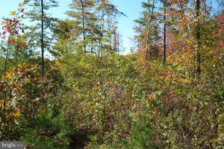 1.30+- WOODED ACRE LOT. THE LOT HAS BEEN PERCED & READY FOR YOUR NEW HOME OR WEEKEND GETAWAY SPOT. ABOUT 5 MILES OUTSIDE THE HISTORIC TOWN OF BERKELEY SPRINGS WV WITH IT's ANTIQUE SHOPS, FARMERS MARKET, HOT BATHS, SPA'S, GOLF & FINE DINING.