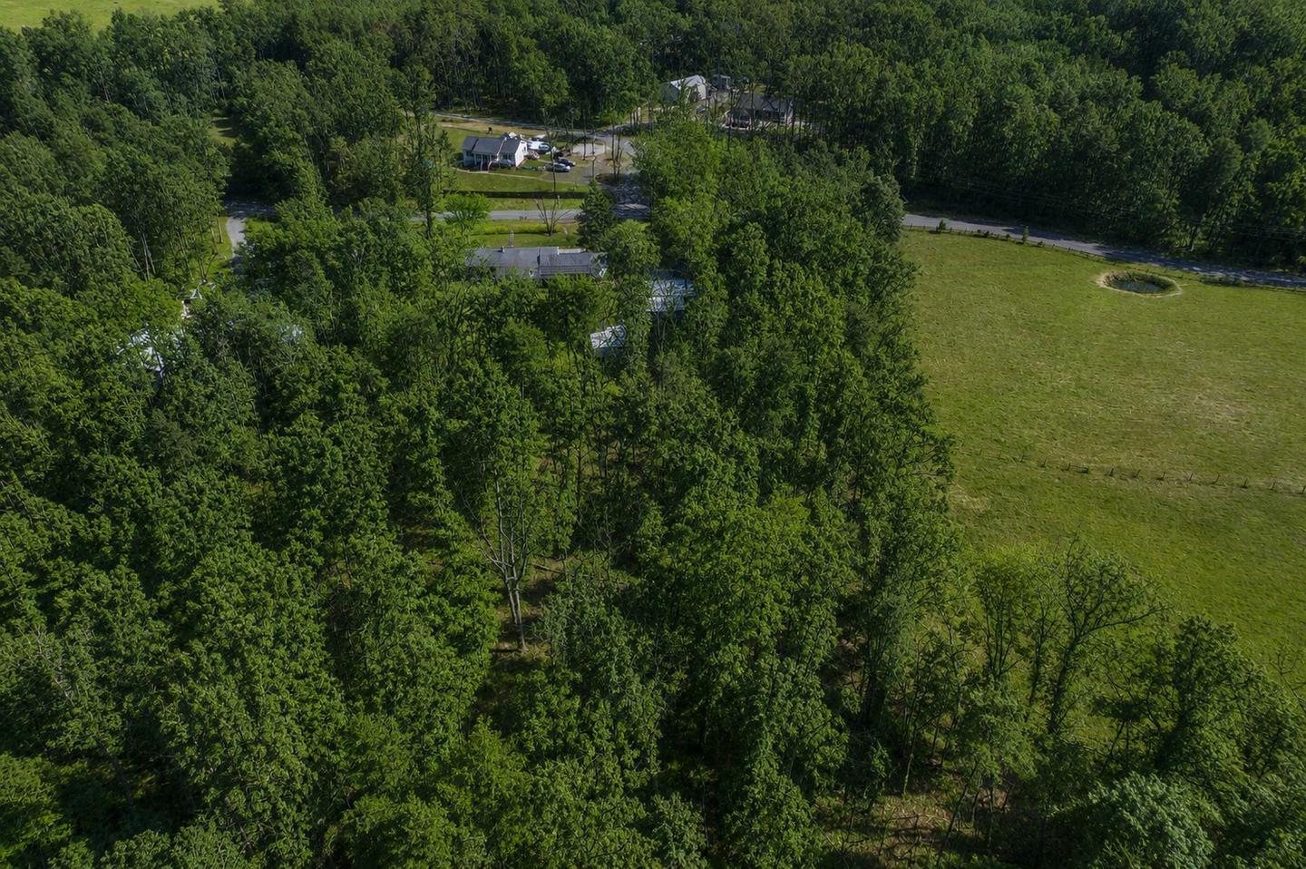 SHEPPERDS GROVE - Residential