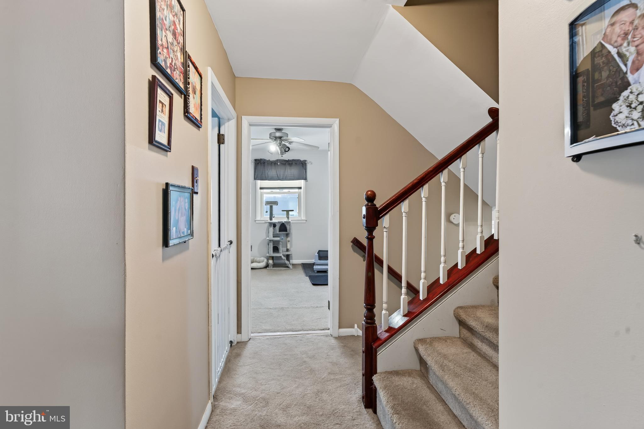 LAWRENCE PARK - Residential