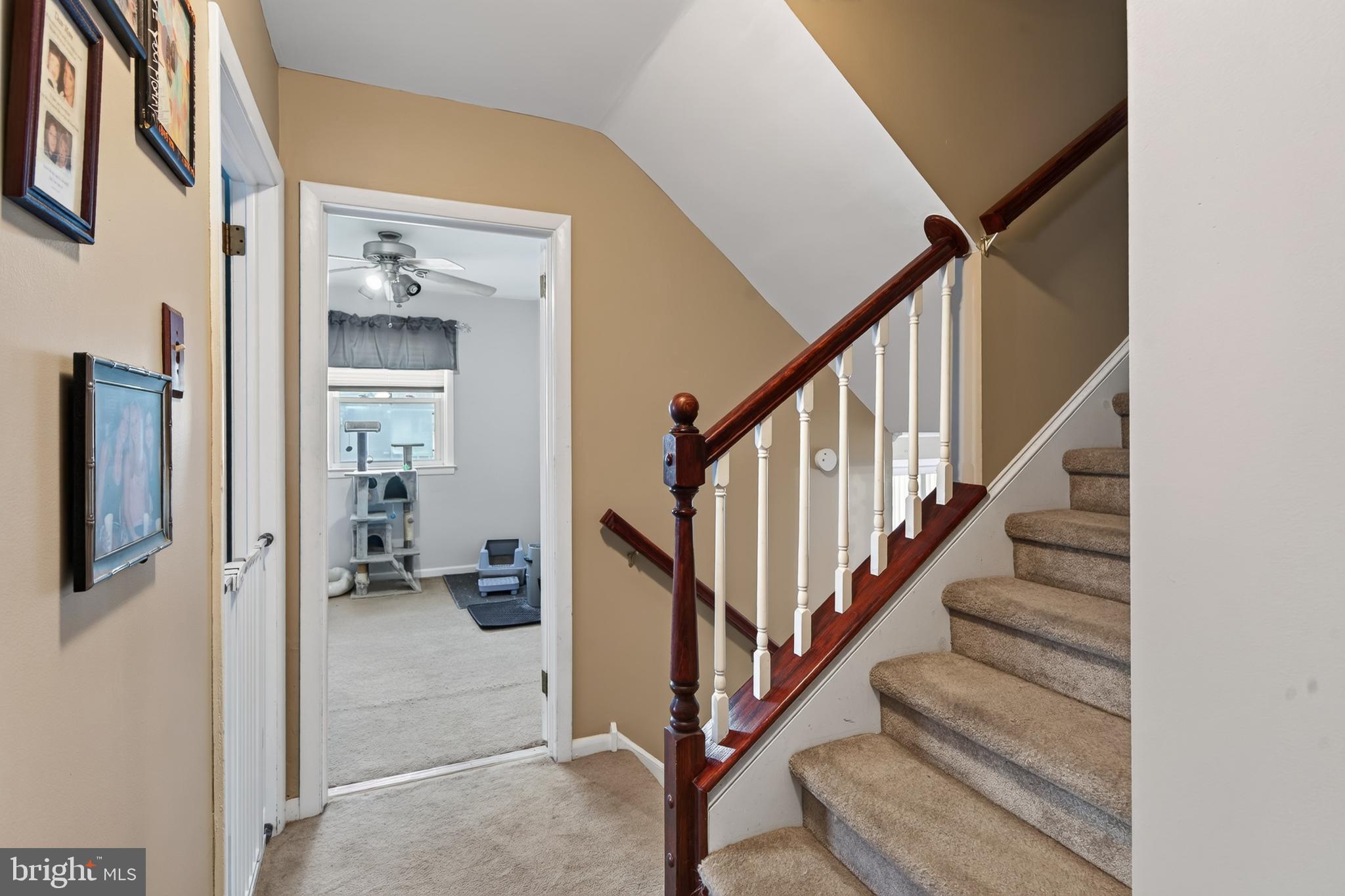 LAWRENCE PARK - Residential