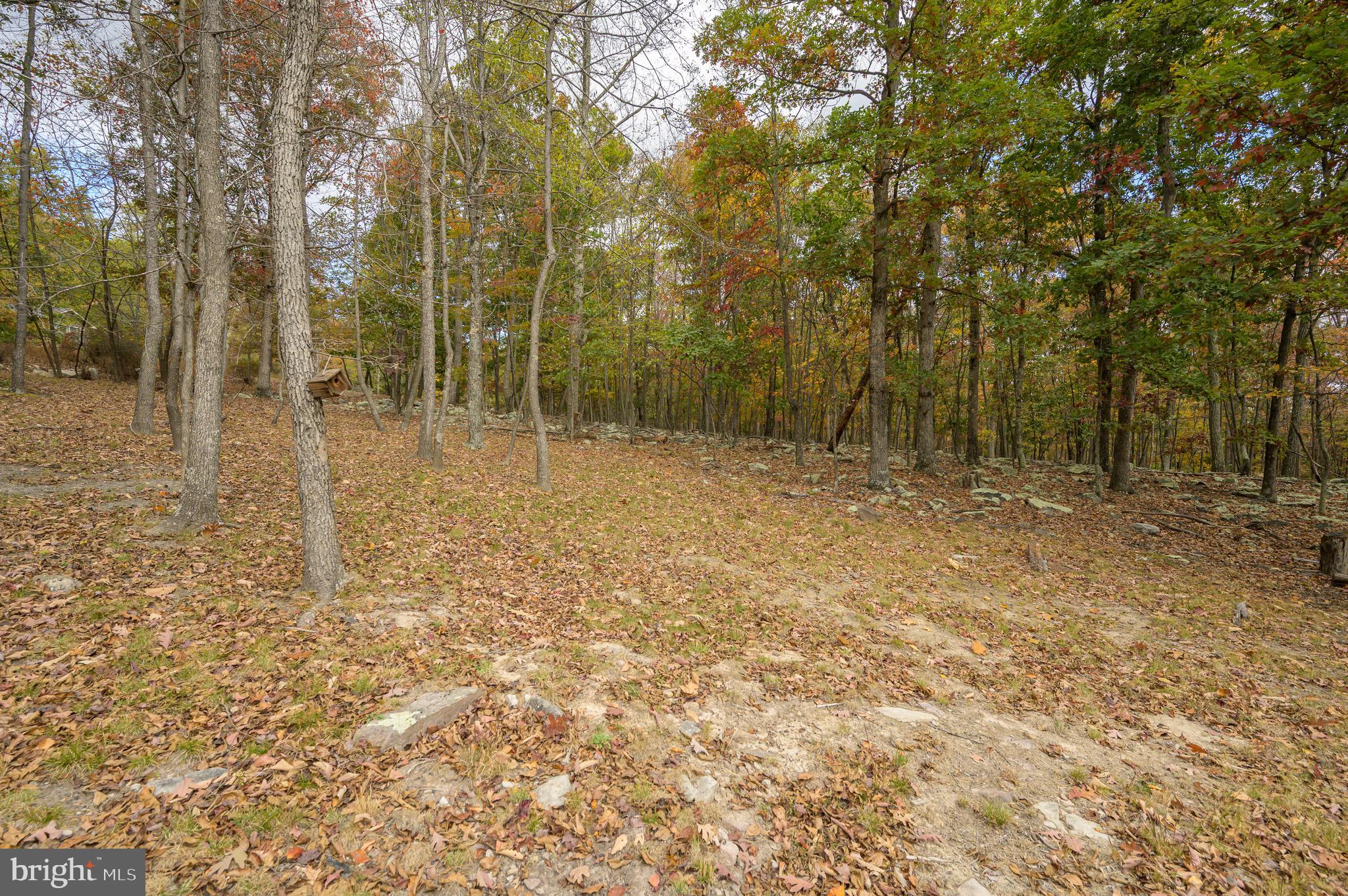 CACAPON EAST - Residential
