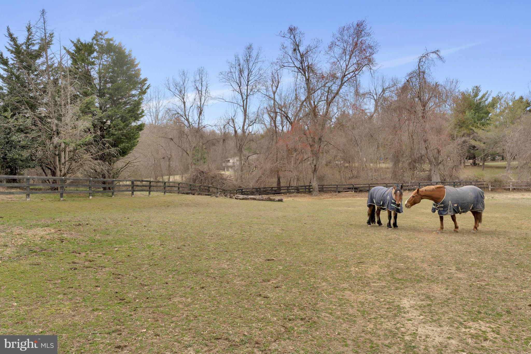 FORESTVILLE - Residential