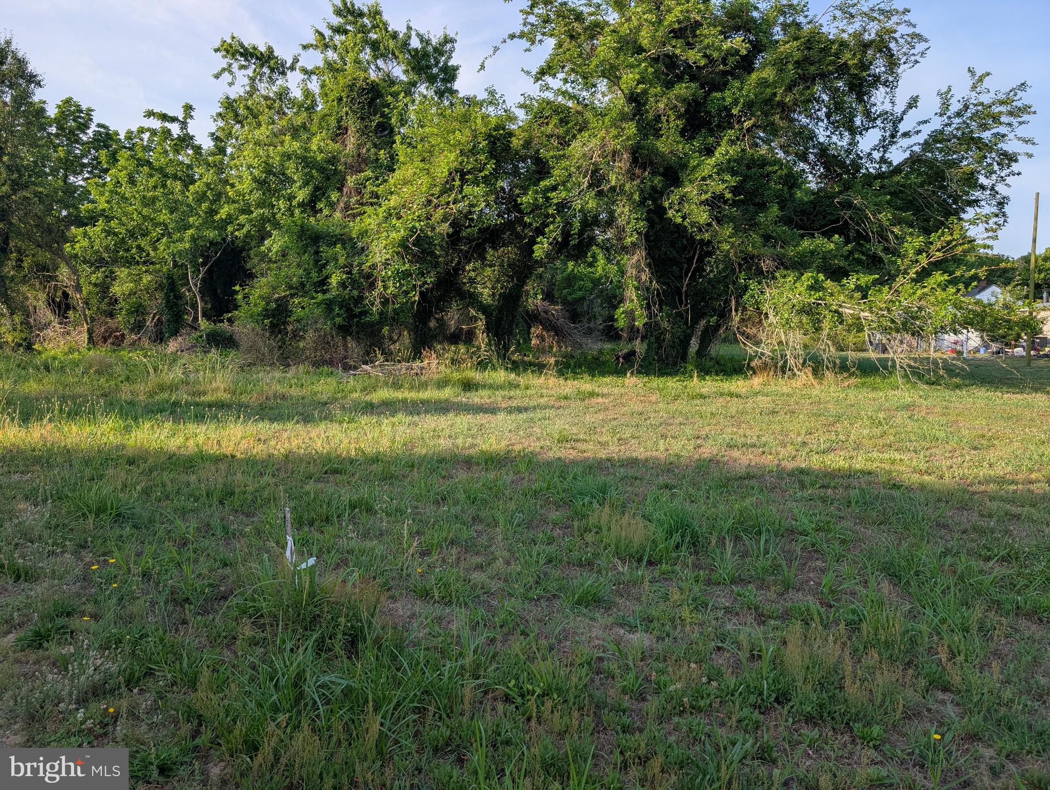 Discover the perfect spot for the next chapter in life!   Over an acre of land here on Camelia lane is the perfect spot with its location and this property is ready to be built on perc approved! Tucked away and off the beaten path, it's still just minutes from downtown Berlin with its many festivals and small town vibe. Berlin has been voted one of the coolest small towns in America and is also just around the corner is the world famous Ocean City beaches and boardwalk. Another charming spot close by is Assateague island where you can sit oceanside while wild ponies frolic in the ocean water.  It's time to start your new life or build your vacation getaway and after all....You Deserve It!