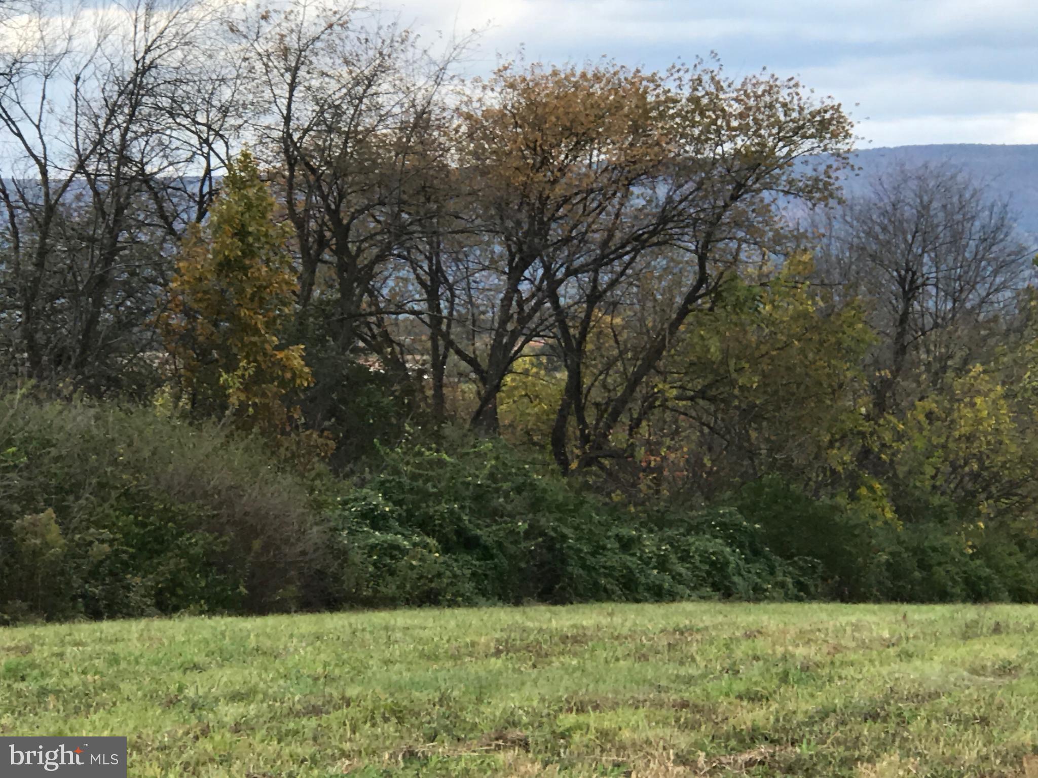 FOOTHILLS OF KENSINGTON - Land