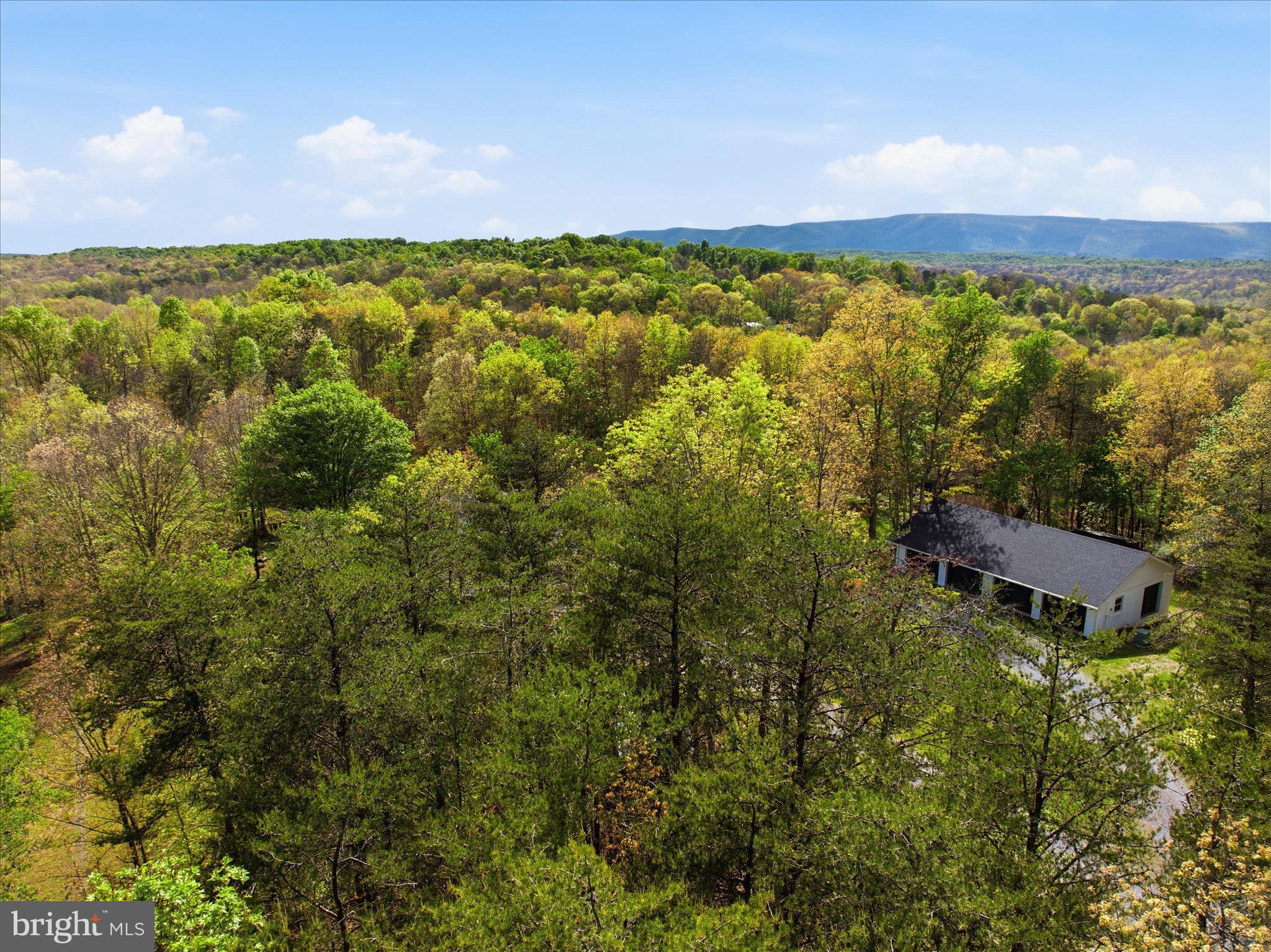 TIMBER RIDGE - Residential