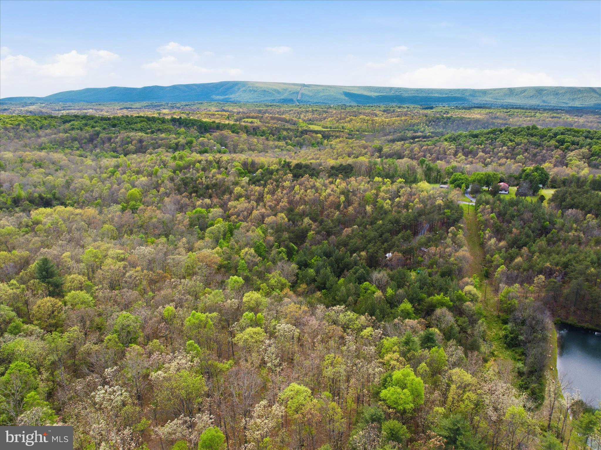 TIMBER RIDGE - Residential
