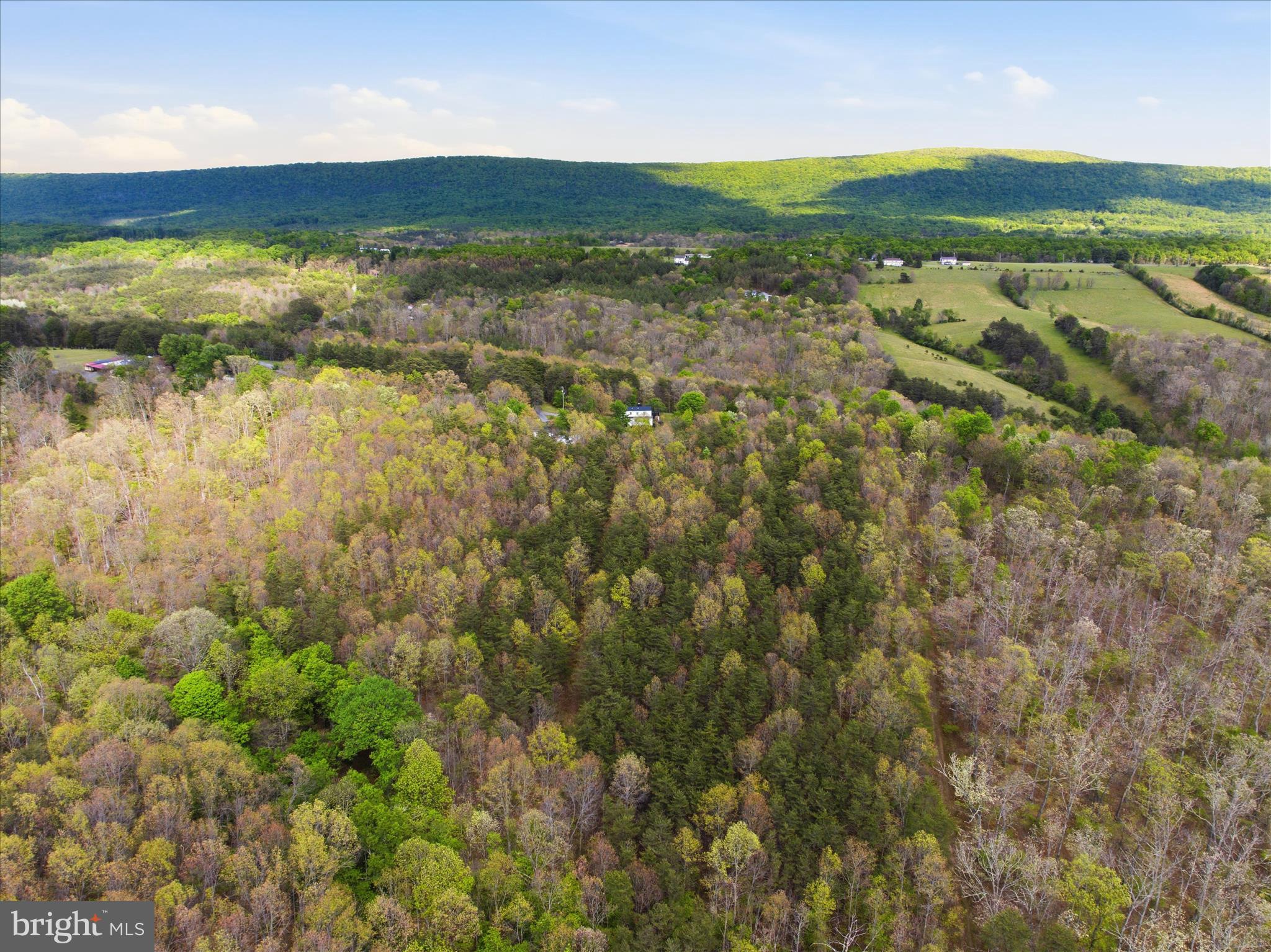 TIMBER RIDGE - Residential
