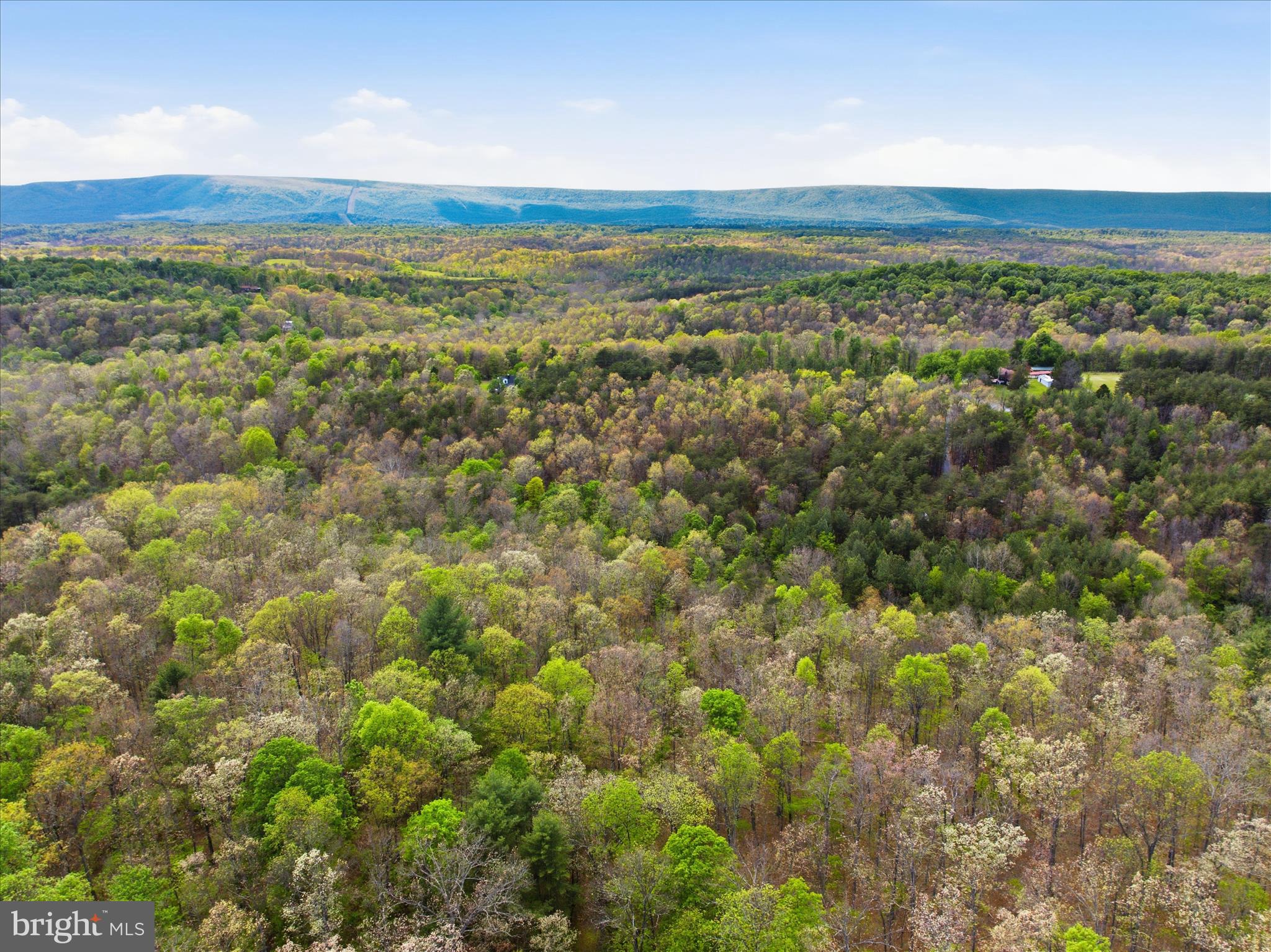TIMBER RIDGE - Residential