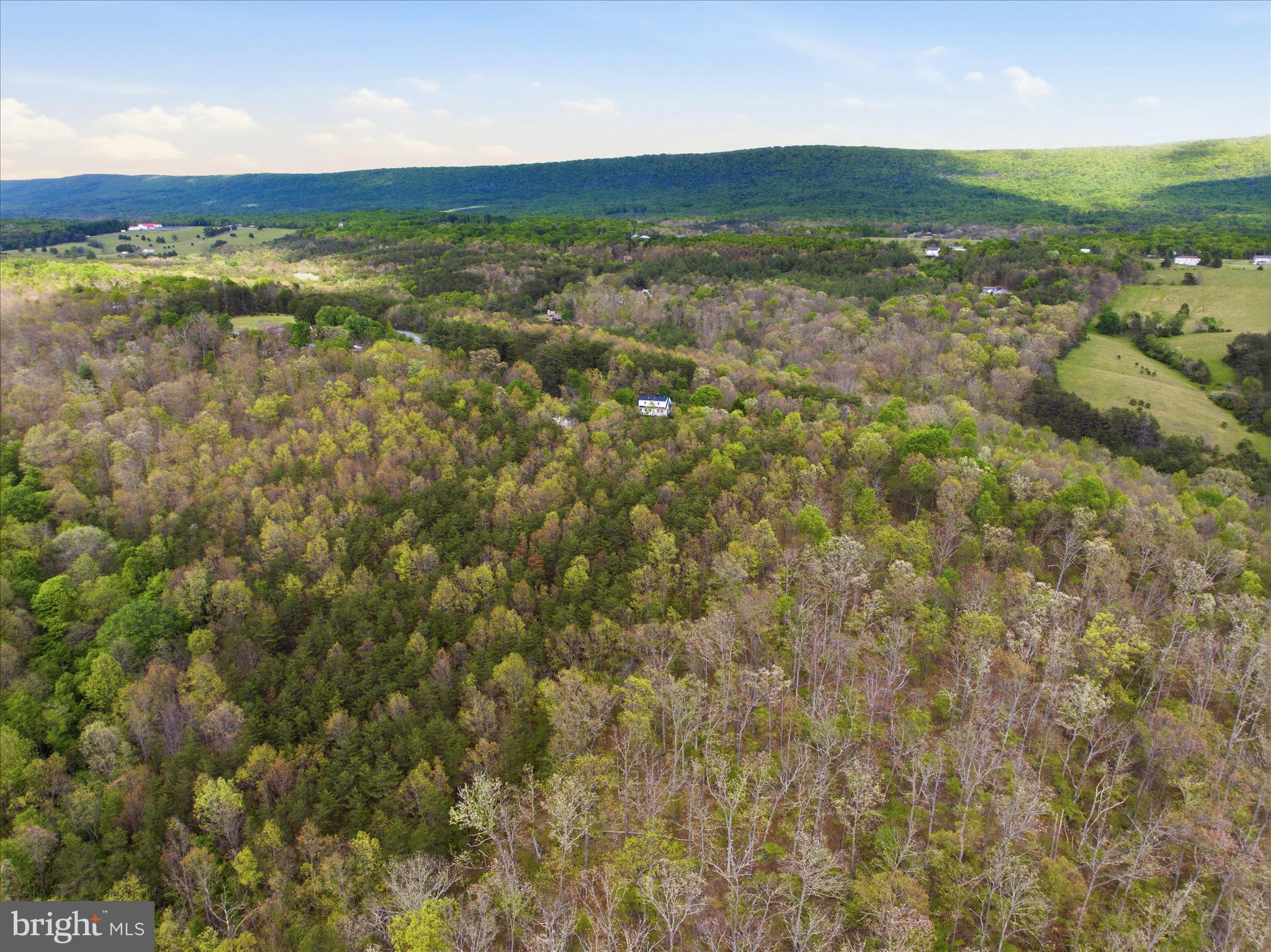 TIMBER RIDGE - Residential