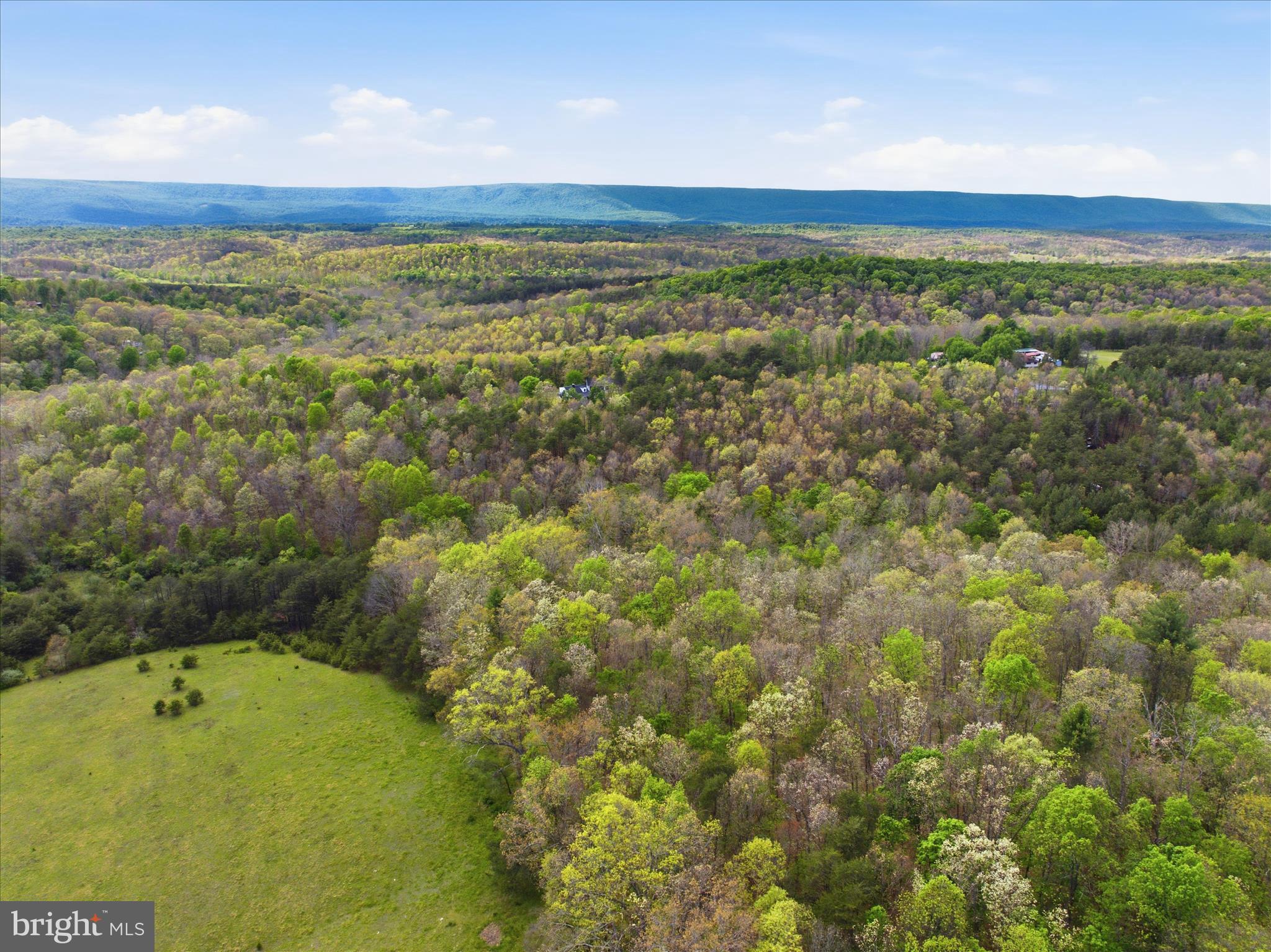 TIMBER RIDGE - Residential