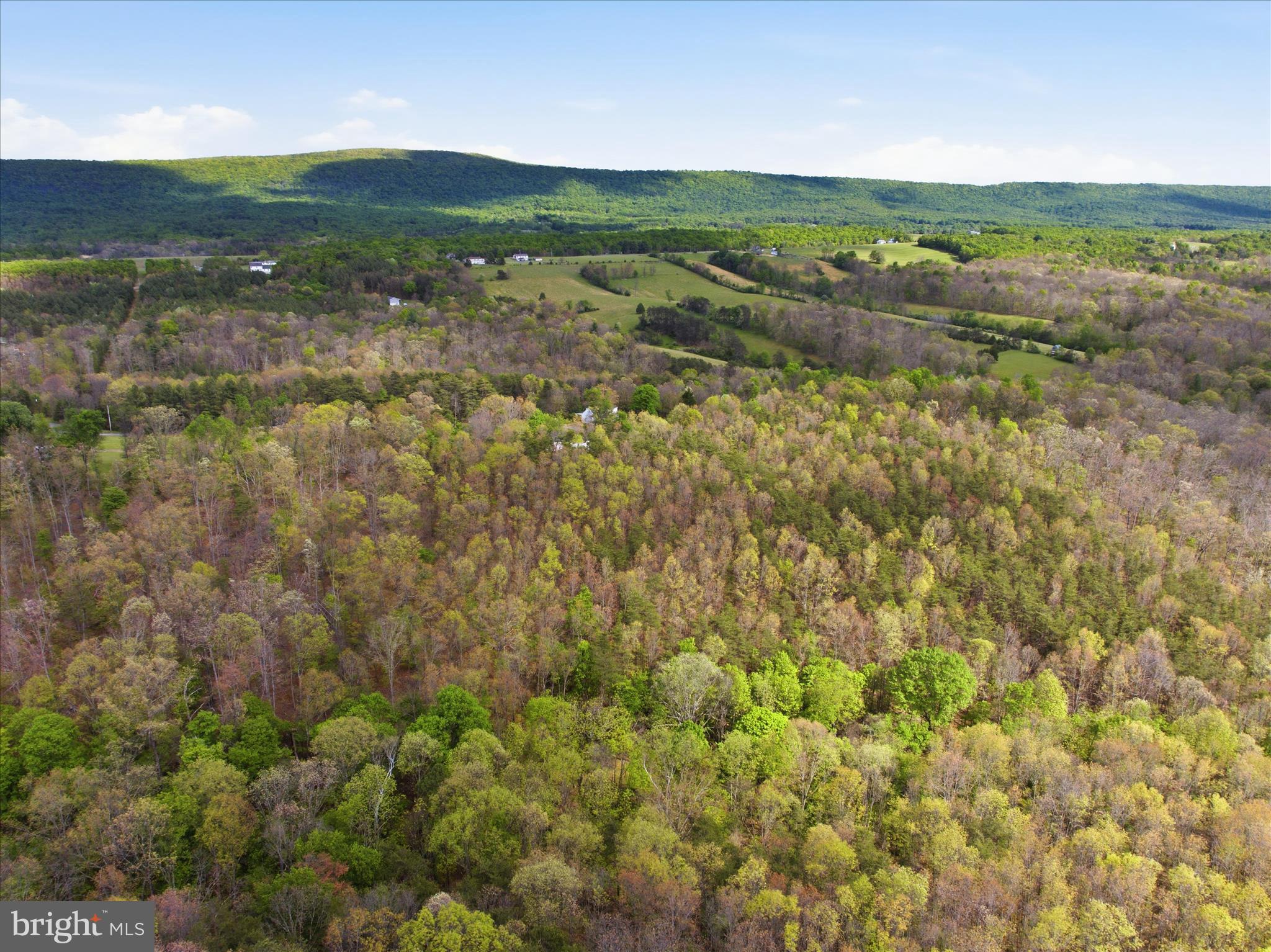 TIMBER RIDGE - Residential