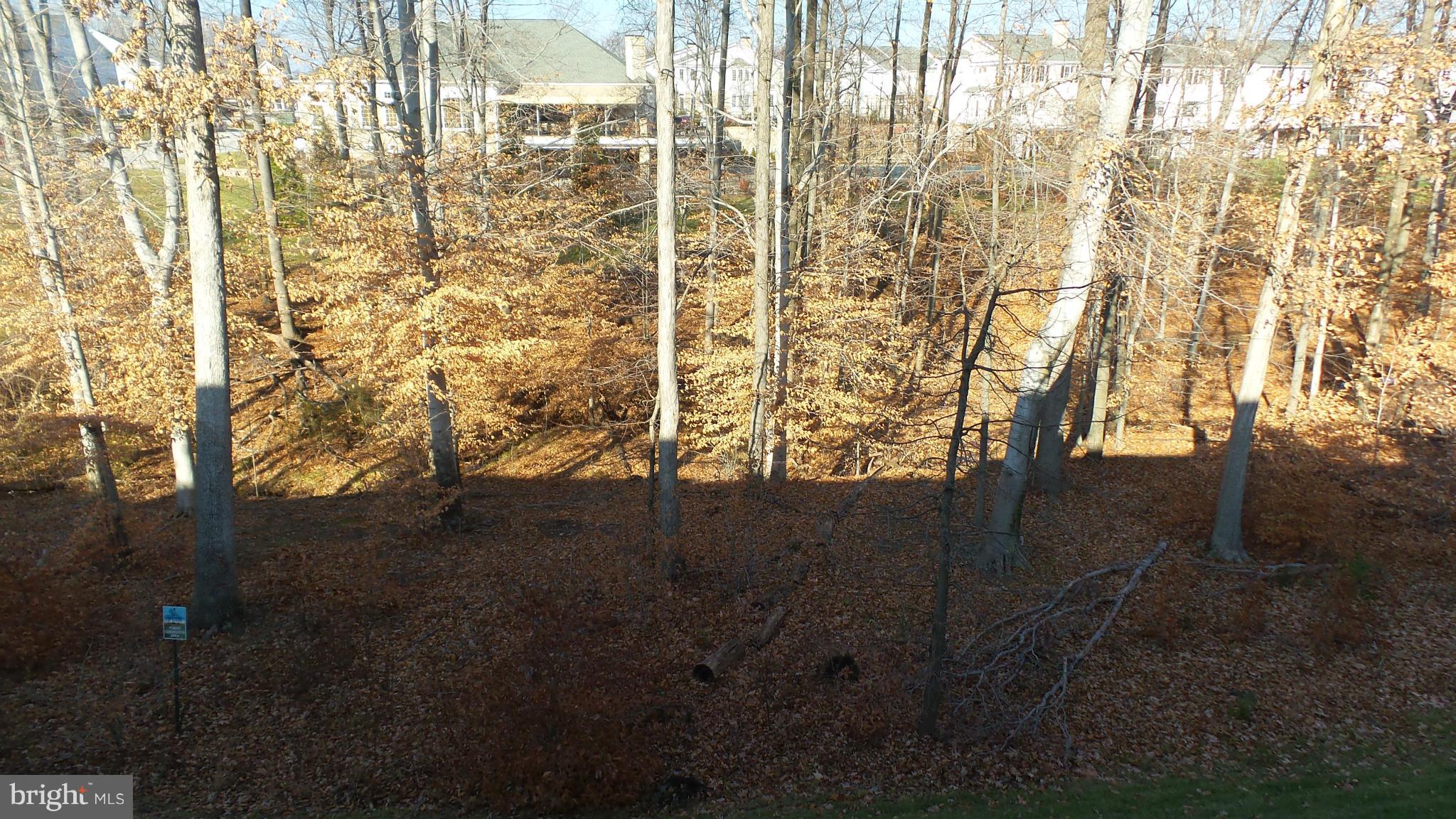 VILLAS AT SNOWDEN OVERLOOK - Residential