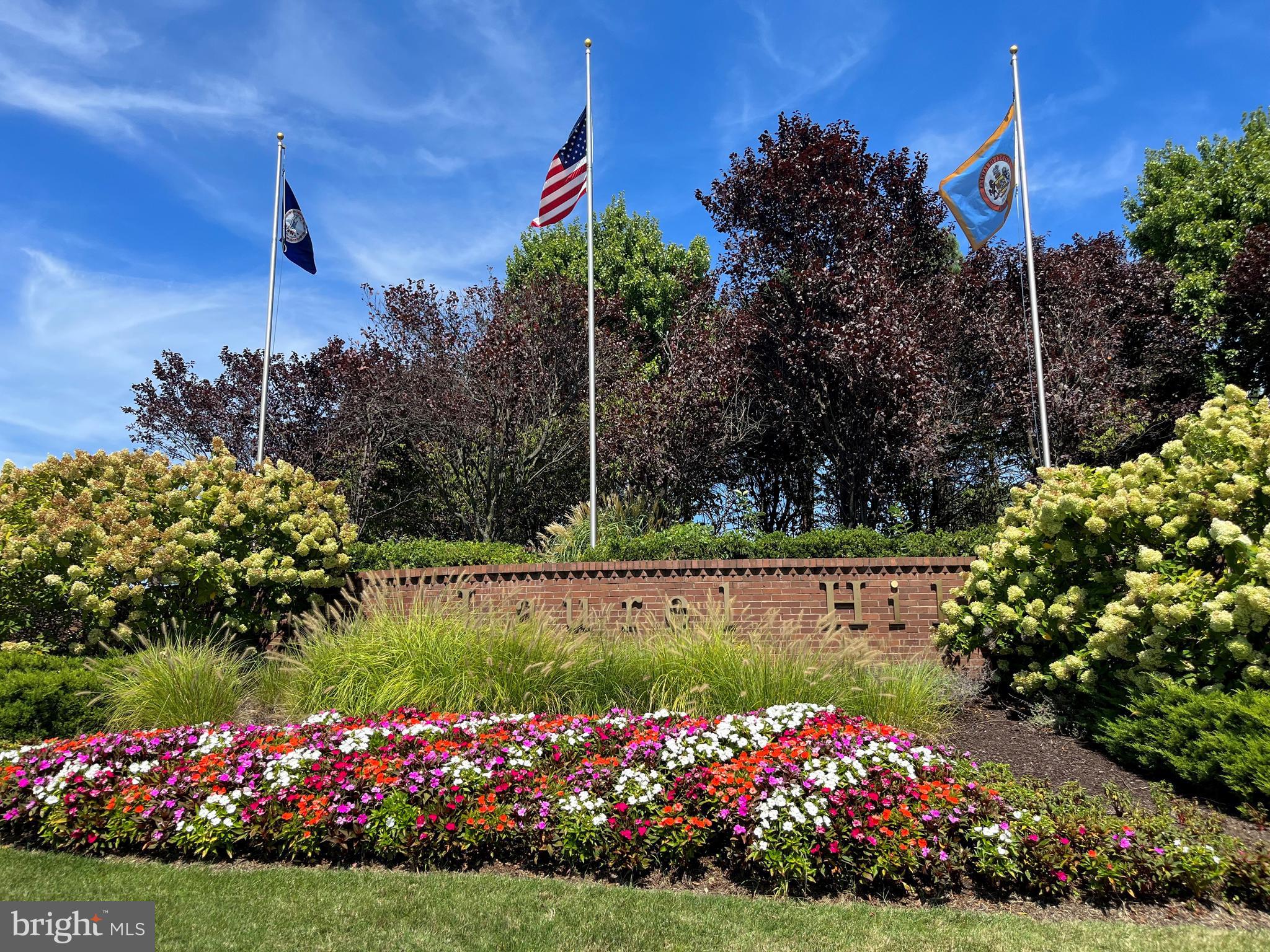 LAUREL HILL - Residential