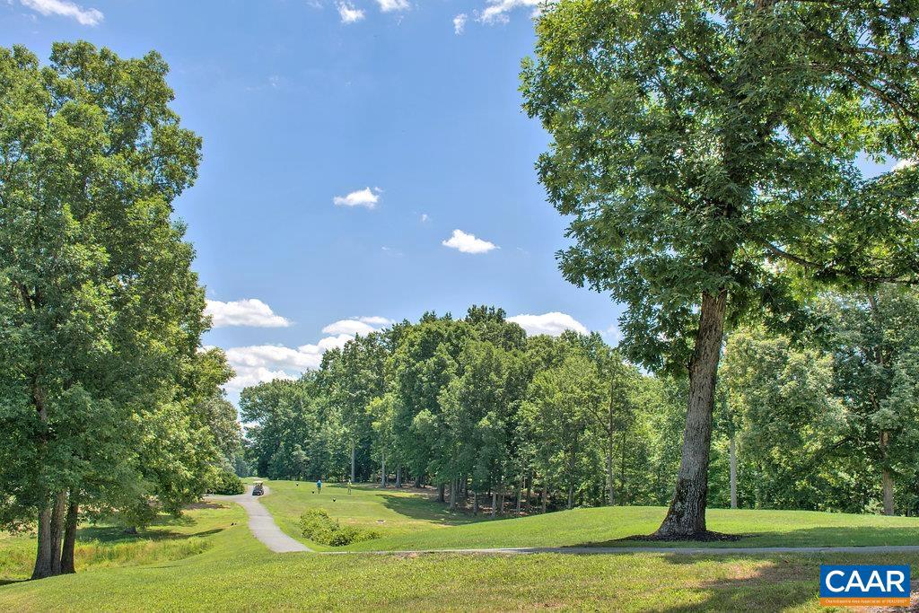 LAKE MONTICELLO - Residential