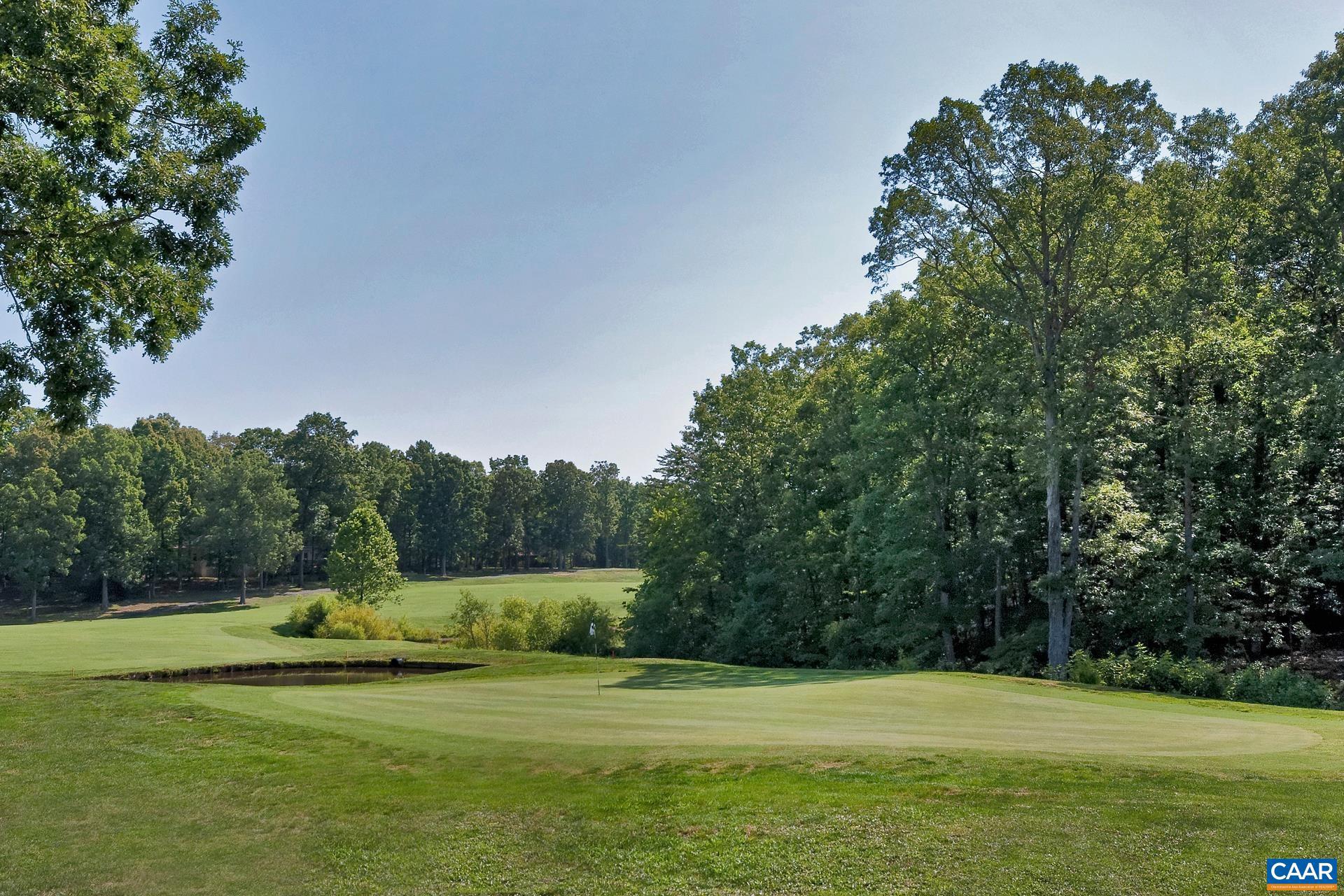 LAKE MONTICELLO - Residential