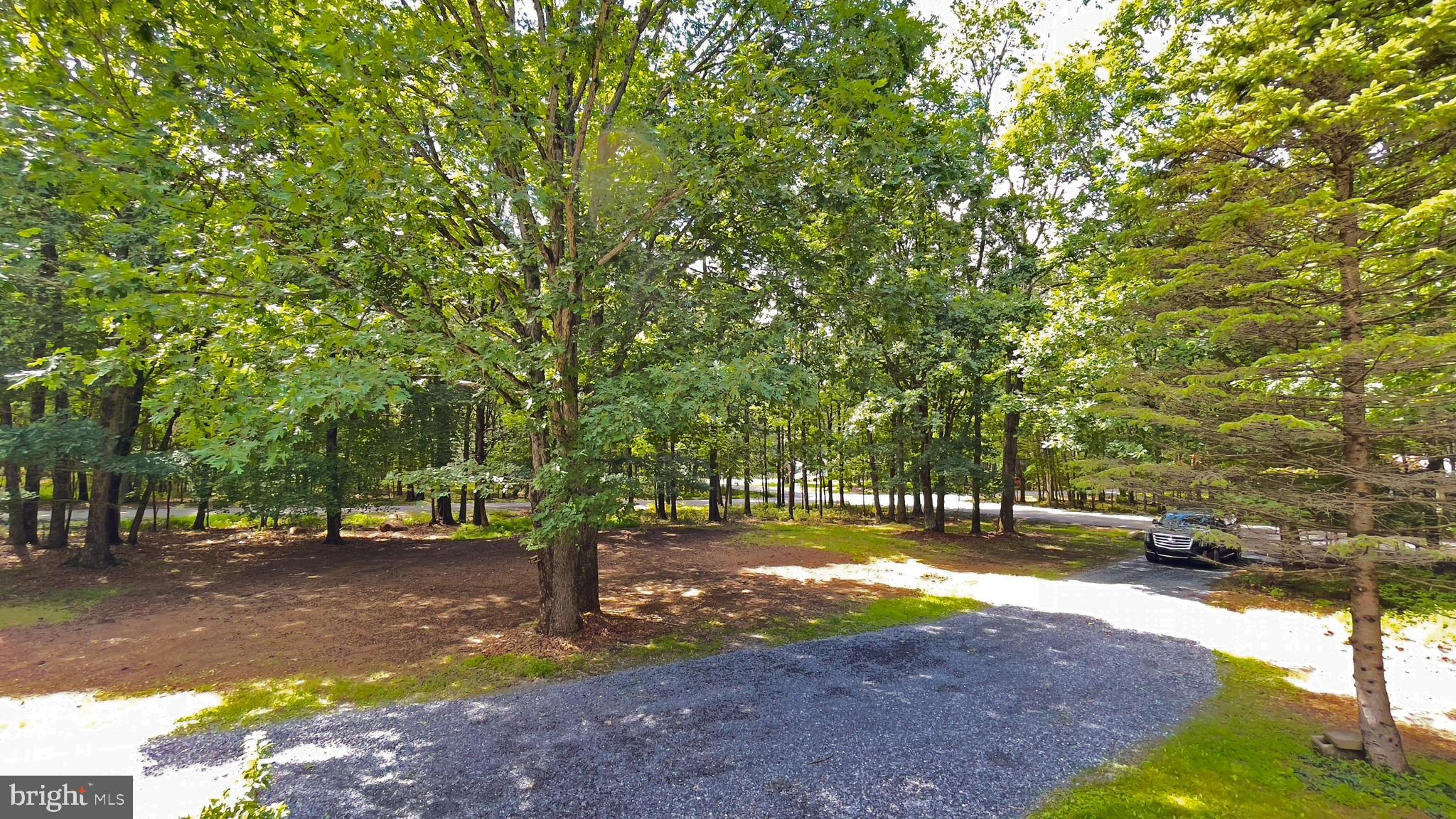 BIRCHES III - Residential