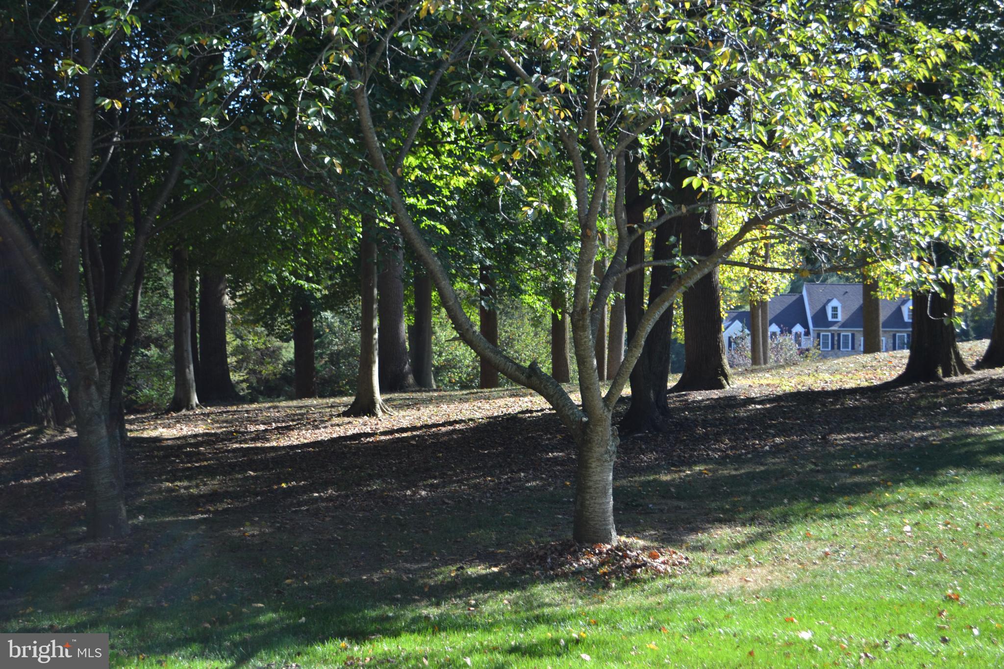 COURTS AT LONGWOOD - Residential