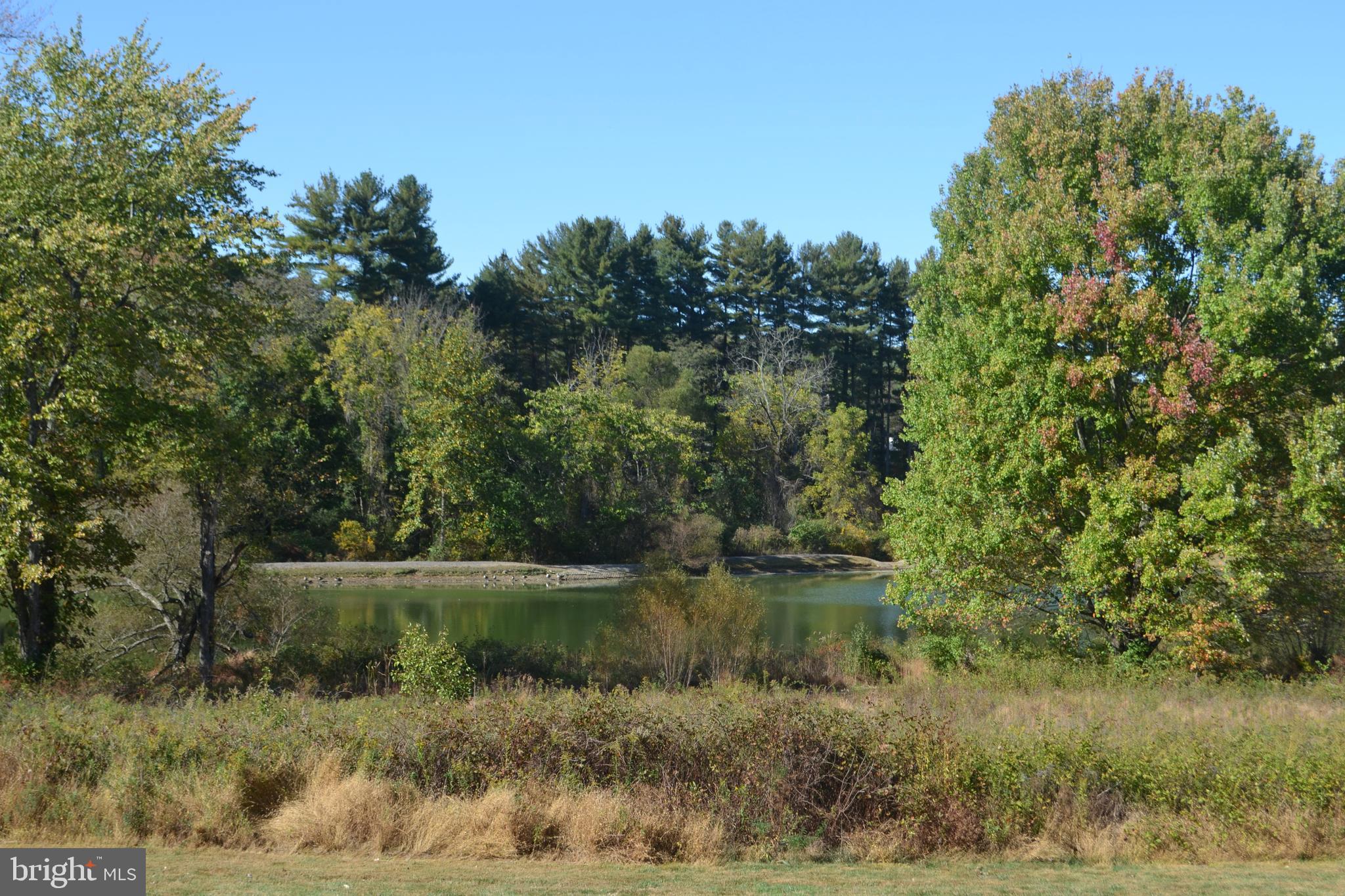 COURTS AT LONGWOOD - Residential