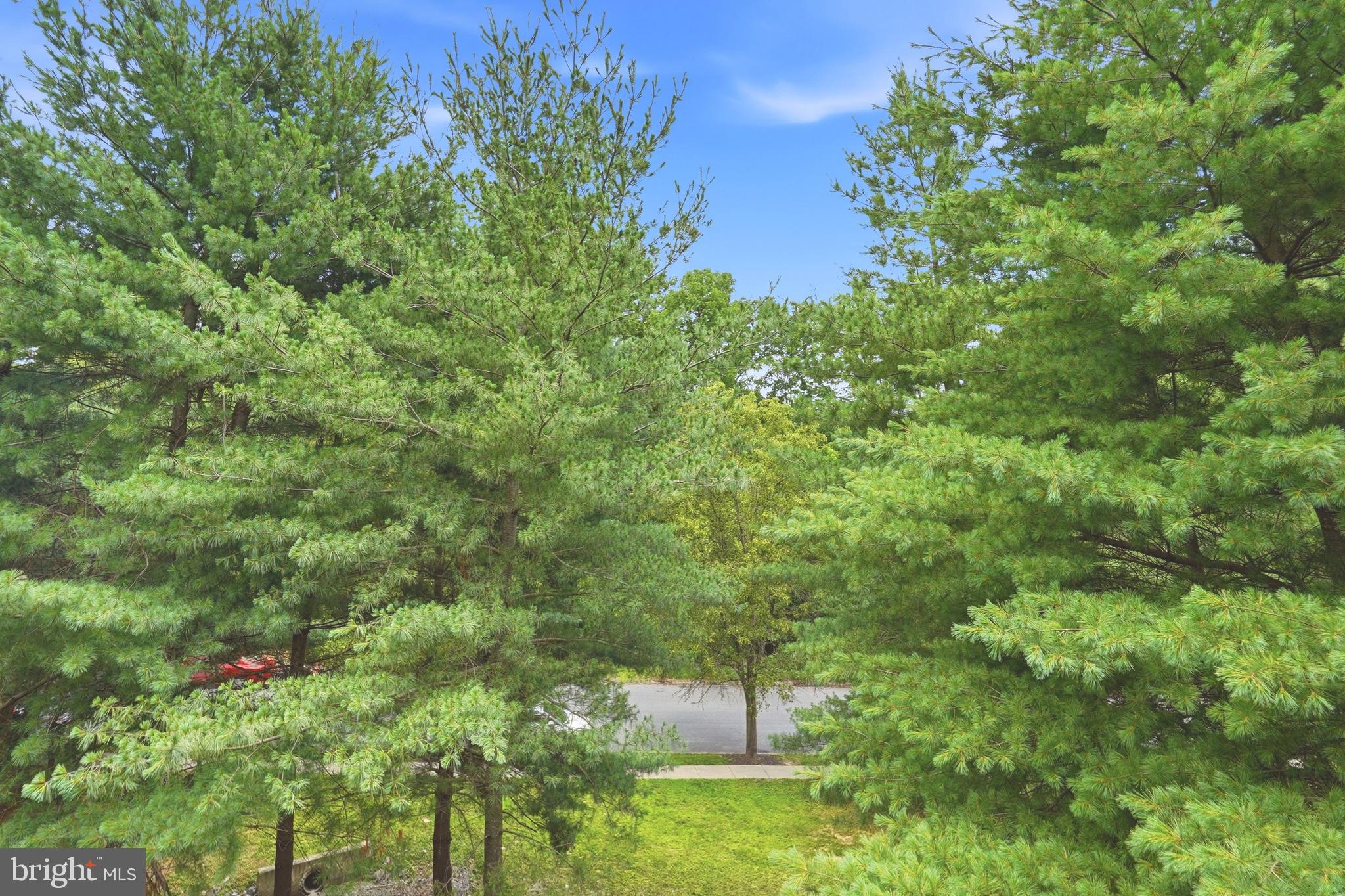 EMERALD KNOLLS - Residential