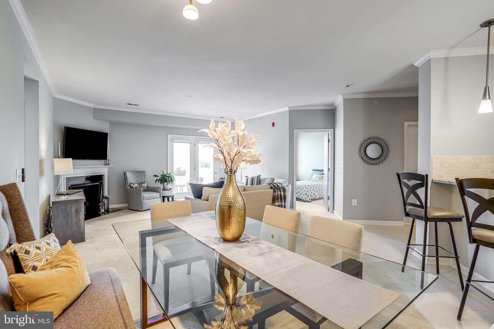CENTRE PARK AT STONE RIDGE - Residential