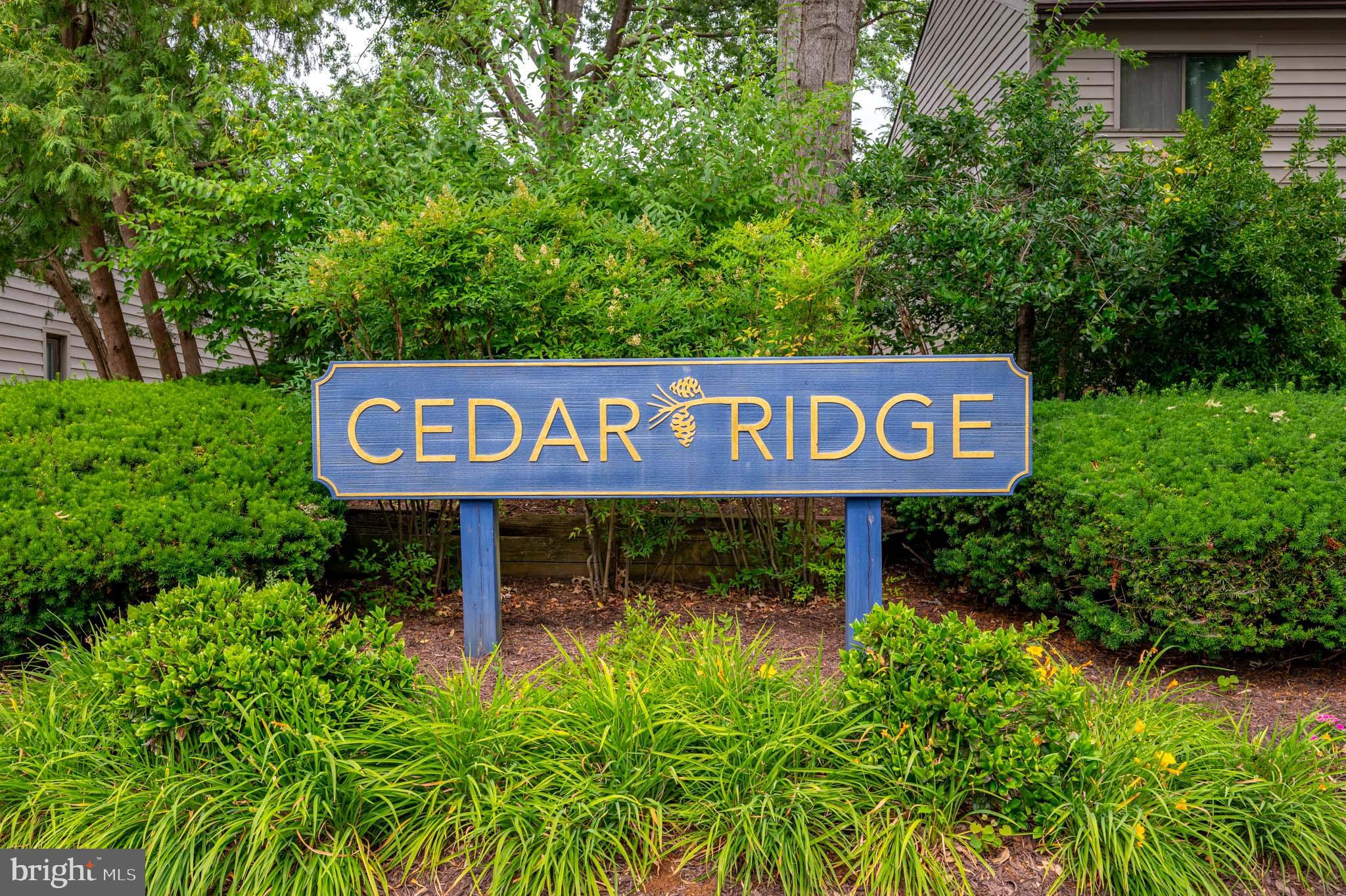 CEDAR RIDGE - Residential