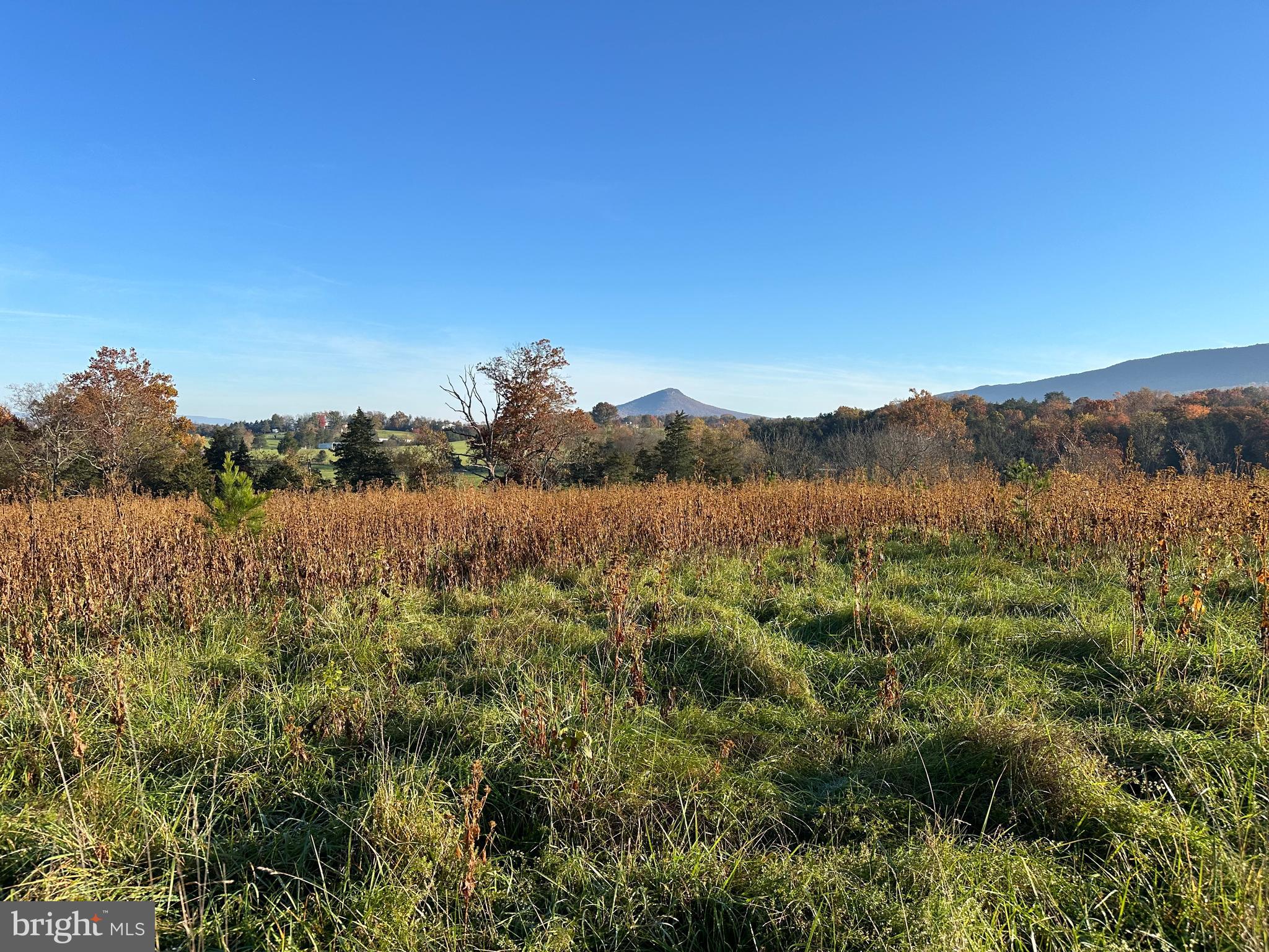 28.91 Acres with incredible views and frontage on charming Smith Creek. Property is under nutrient banking program with DEQ , documents available upon request. Seller is in process of removing a portion of the land from the bank to allow for a  driveway, yard, house site and drain field. Survey already created. Application to DEQ for approval takes 30-60 days upon submission, maybe faster.  Seller will make application at seller's expense. Owner/Agent. Hadley has located and verbally ID'd an alternative drainfield. No sign on property, MLS Pin is Correct