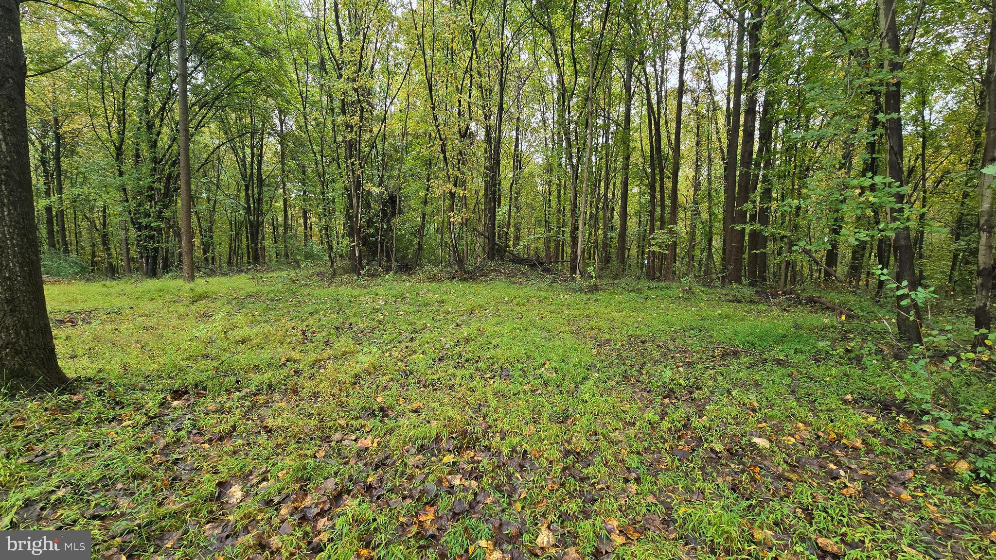 Remarkable 66-acre woodland property in the Nob Hill North subdivision of Reisterstown. Nestled at the end of a peaceful, no-through road, this expansive lot provides a serene and private setting for your dream home. It’s rare to find such a large, secluded property in such a convenient location, just minutes from major routes like 140 and 795, with easy access to shopping, dining, and recreation. Imagine living amidst your forest, perfect for outdoor activities — creating hiking trails, exploring with off-road adventures, enjoying horseback riding through the woods, or simply taking in the natural surroundings This property CANNOT be further subdivided