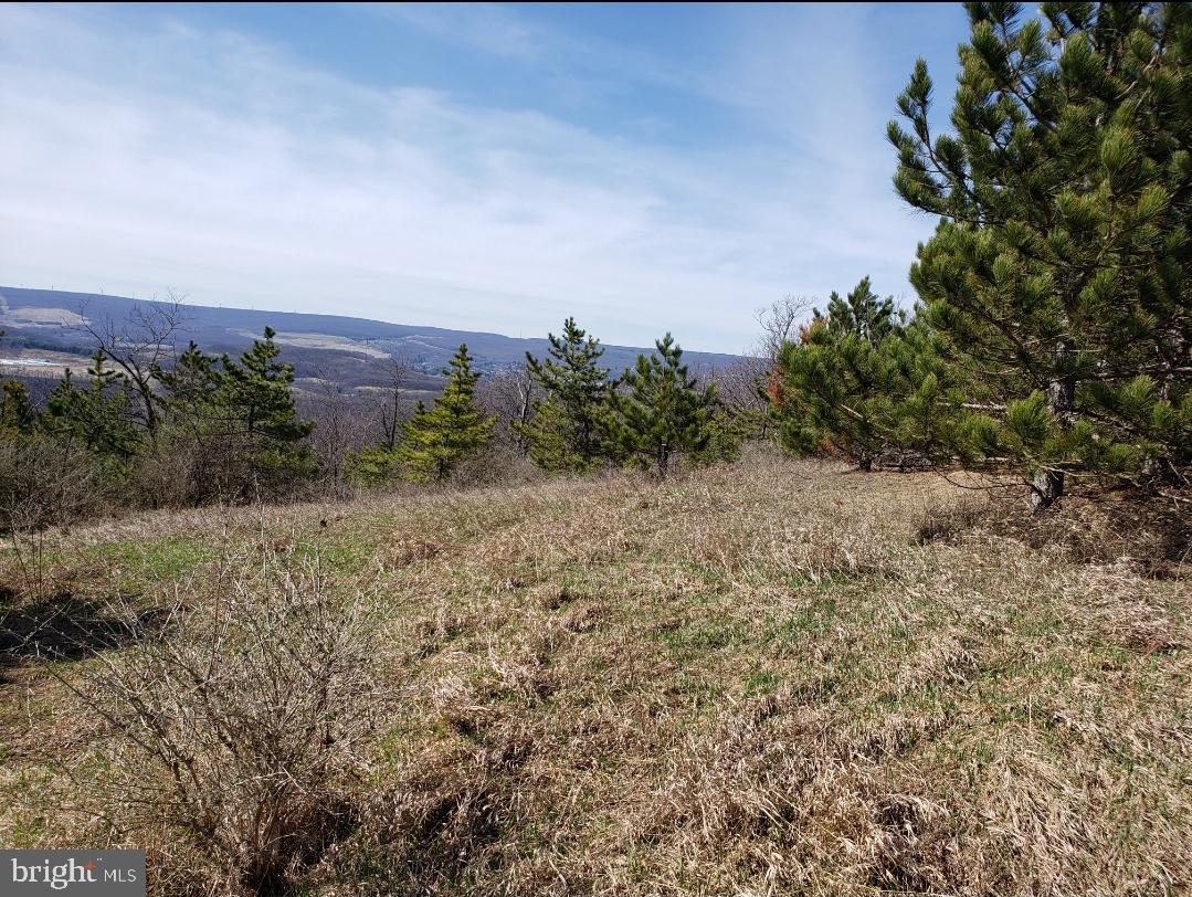 THE SUMMIT OF HARWOOD - Land