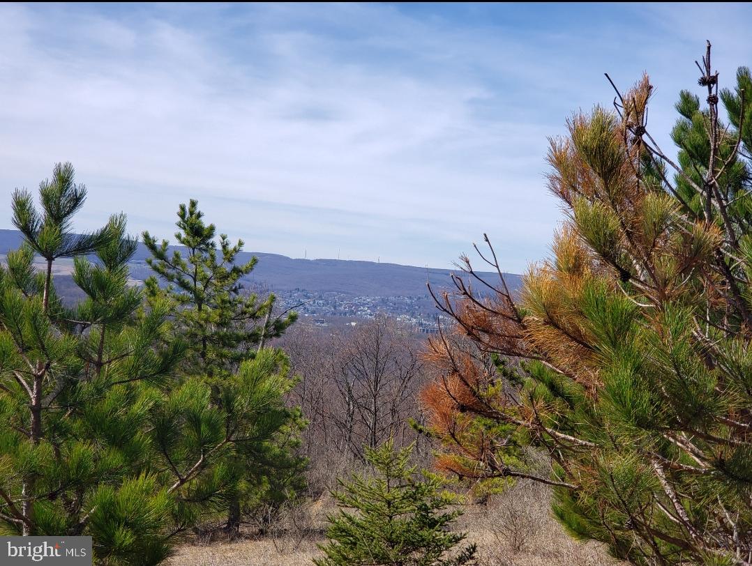 Build your dream home in the Summit of Harwood subdivision, surrounded by incredible views and abundant wildlife. Enjoy a quiet, private setting while only being minutes from Frostburg, LaVale, and Cumberland. Easy access to I-68 & Route 40. Property is Lot #16.
