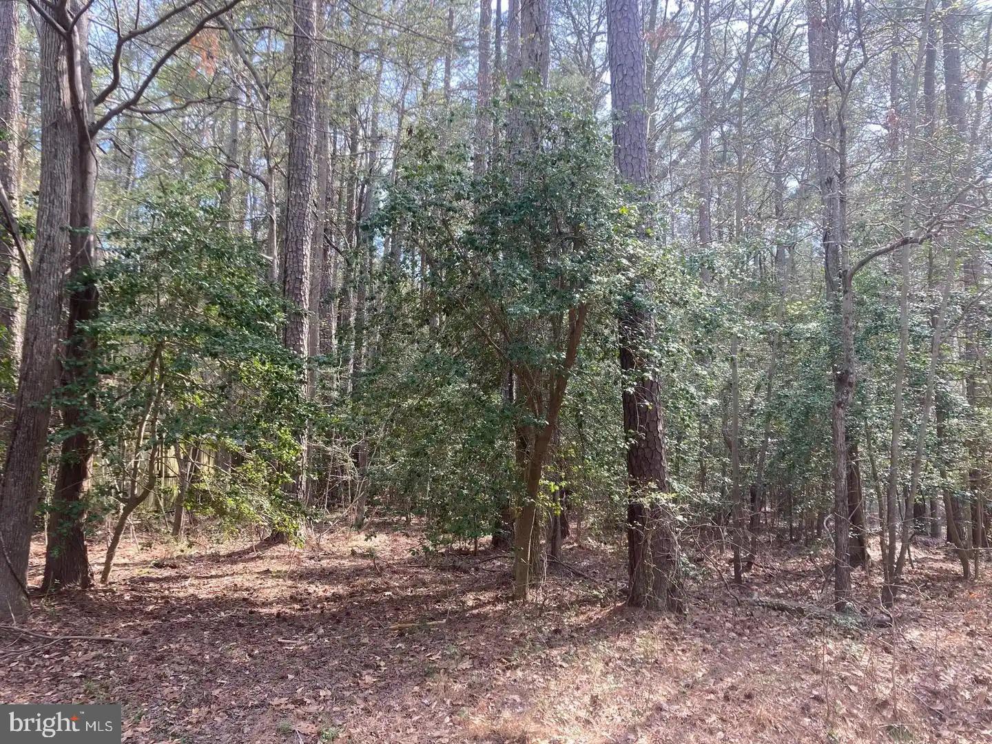 Own a piece of this water-oriented community, Drum Point.
