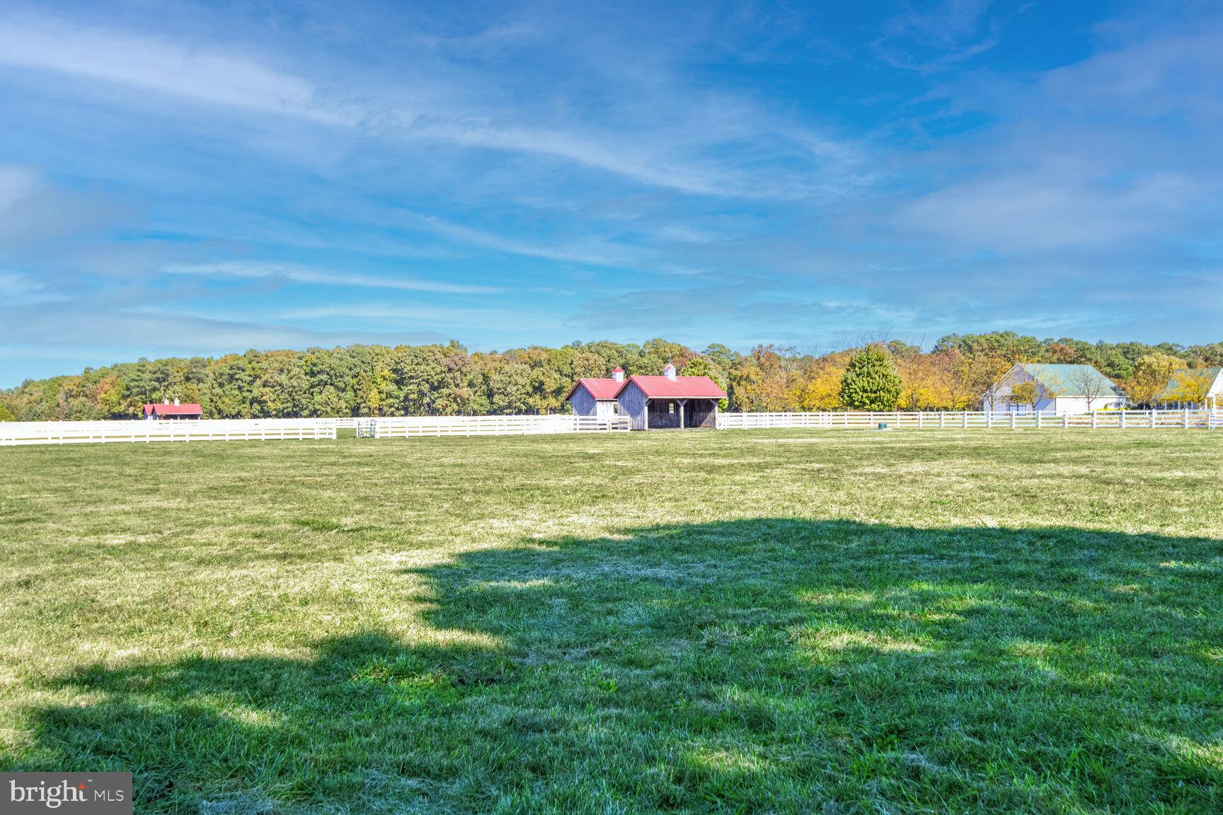 ROYAL OAK - Residential