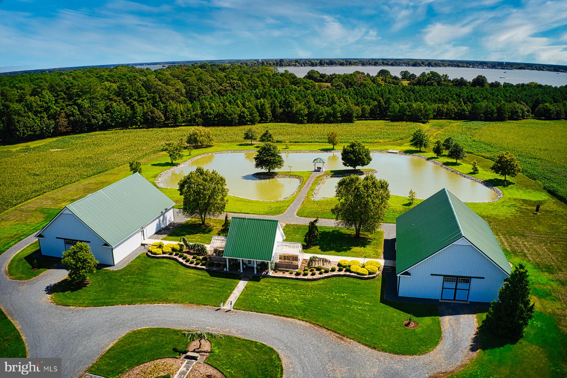 ROYAL OAK - Residential