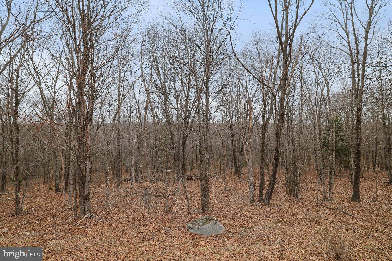 BRIER CREST WOODS - Residential
