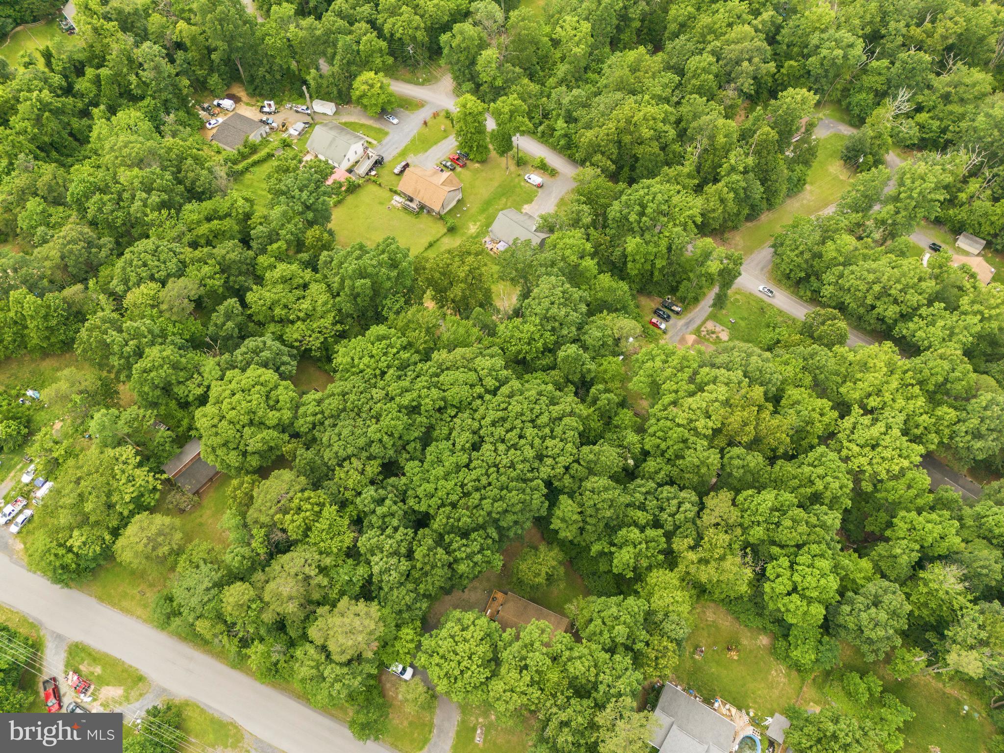 Build your dream home on this fully developable lot in the desirable Shenandoah Farms community. This buildable parcel is approved for a single-family residence and offers a peaceful, private setting surrounded by the natural beauty of the Shenandoah Valley. Enjoy access to an impressive array of community amenities, including the Shenandoah River, two lakes, recreation areas, basketball courts, multiple riverfront lots, a boat ramp, and two convenient country stores. Whether you're seeking a full-time residence or a weekend retreat, this property provides the perfect balance of tranquility and outdoor recreation. Located in Shenandoah Farms with no HOA, you'll have the freedom to create the home and lifestyle you've been envisioning.