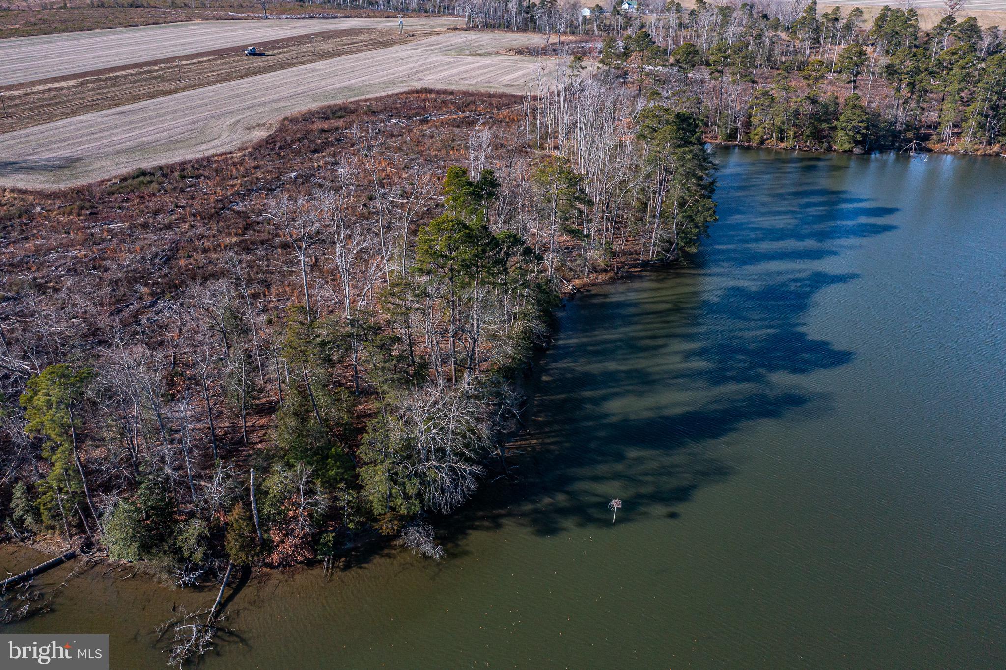 COLES POINT - Land