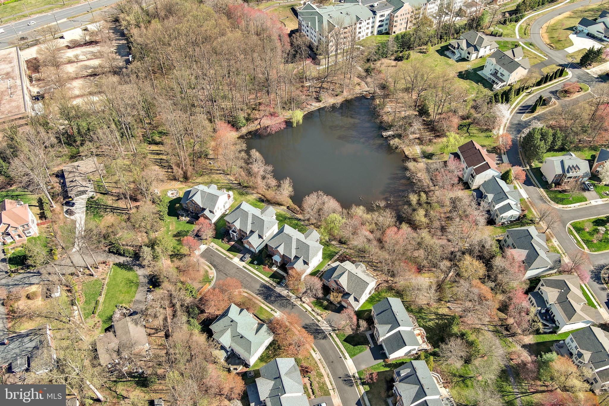 FOREST HILLS OF FAIRFAX - Residential