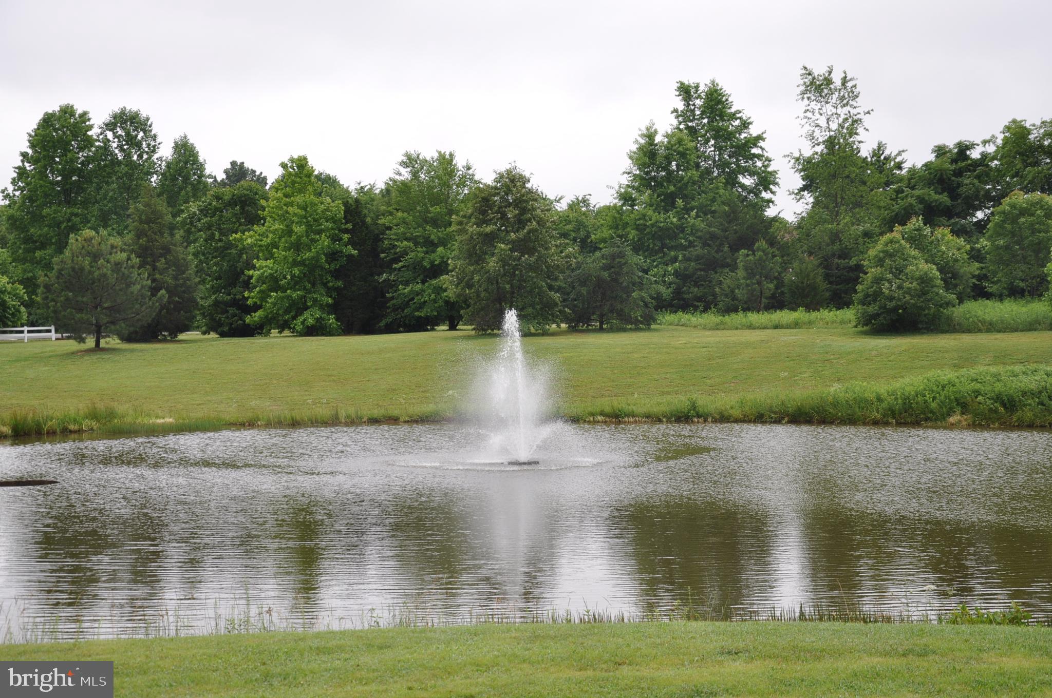 THE WATERS AT LAKE ANNA - Residential