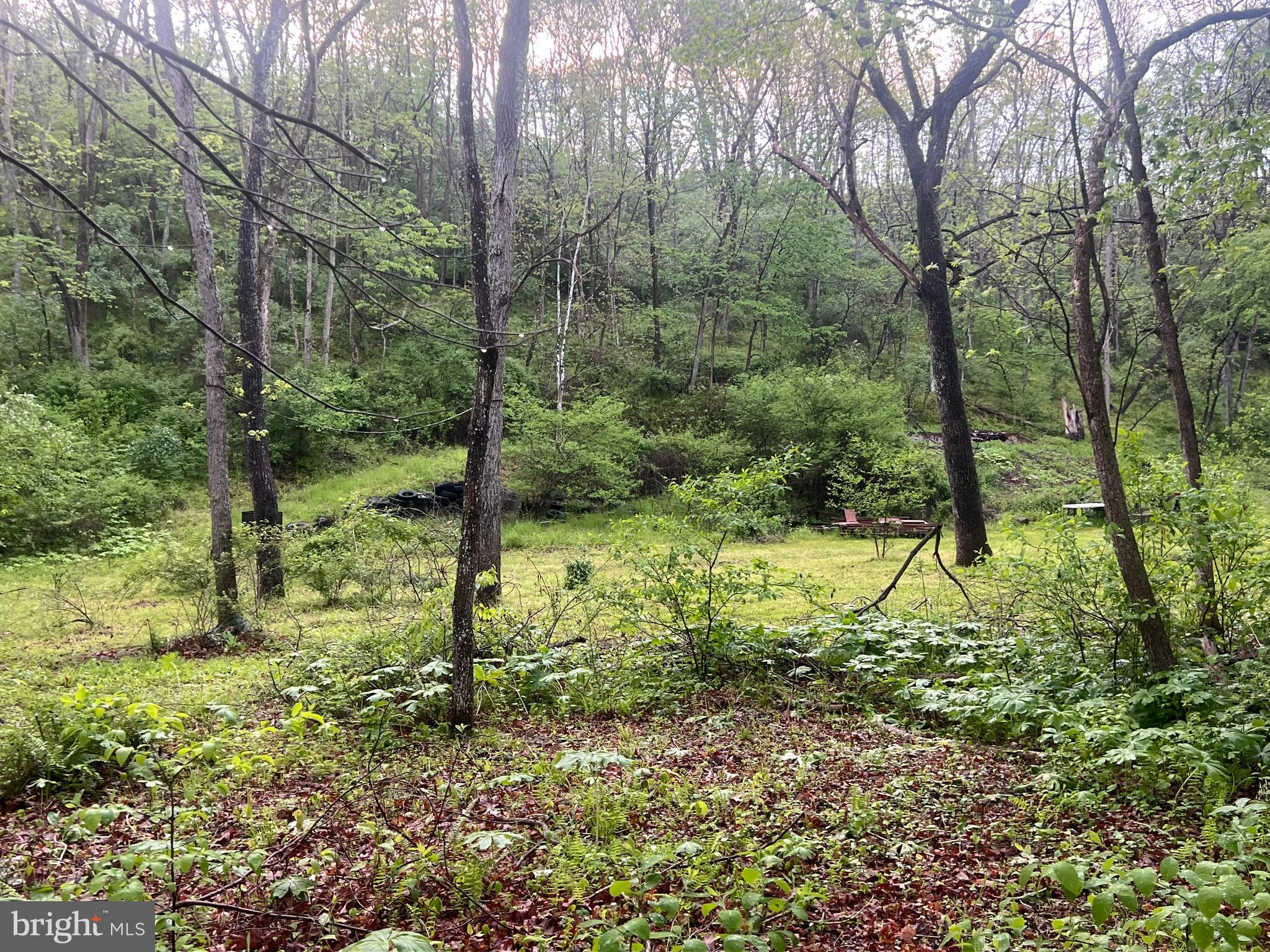 You're going to Love this property. The property has been in the same family for over 80 years. Several generations have loved this place as their favorite getaway. Located on Sidling Hill Creek which flows year round. 566 feet of Creek frontage. Bring your camper, Bring your  Container/Cabin conversion or bring your Tents. Nothing is sight but beautiful forest and Sidling Hill Creek. There is an existing area where and old cabin once stood which is level and elevated. The cabin was fed water by a natural spring. Only minutes from several local historic sights like the Potomac River and C&O Canal, Historic Berkely Springs WV and Rocky Gap State Park and Casino. 
There is a cable across the entrance. Please call the listing agent or your buyer agent to access the property. Please call for details and/or questions. Some of the property is in the 100 year flood area.