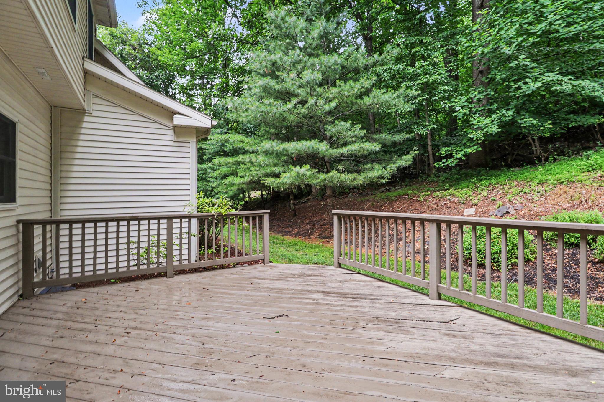 WALTON SPRING HILLS - Residential
