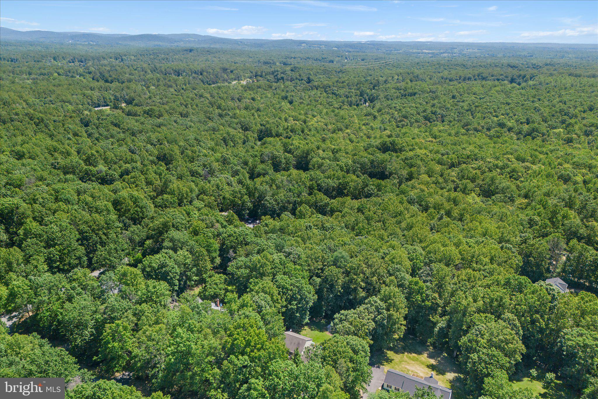 WILDWOOD FOREST - Residential