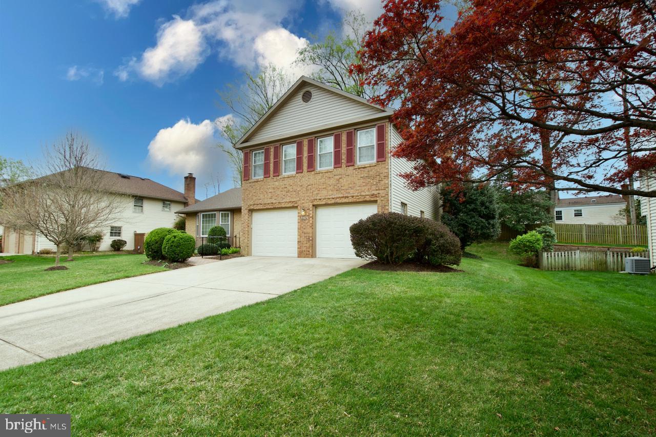 GEORGE MASON FOREST - Residential