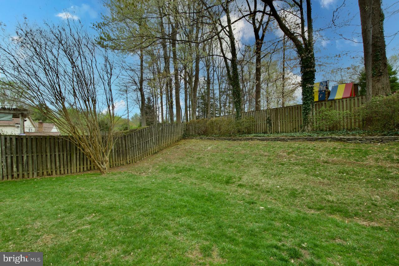 GEORGE MASON FOREST - Residential